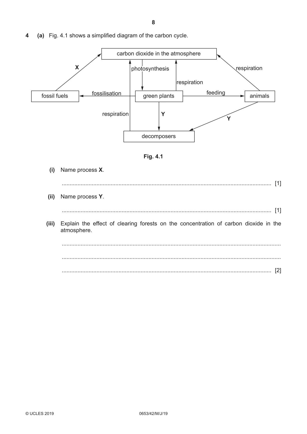 Cambridge IGCSE Science - Combined 0653 2019 May/June Paper 4 · Variant 2 question paper, page 8 of 20