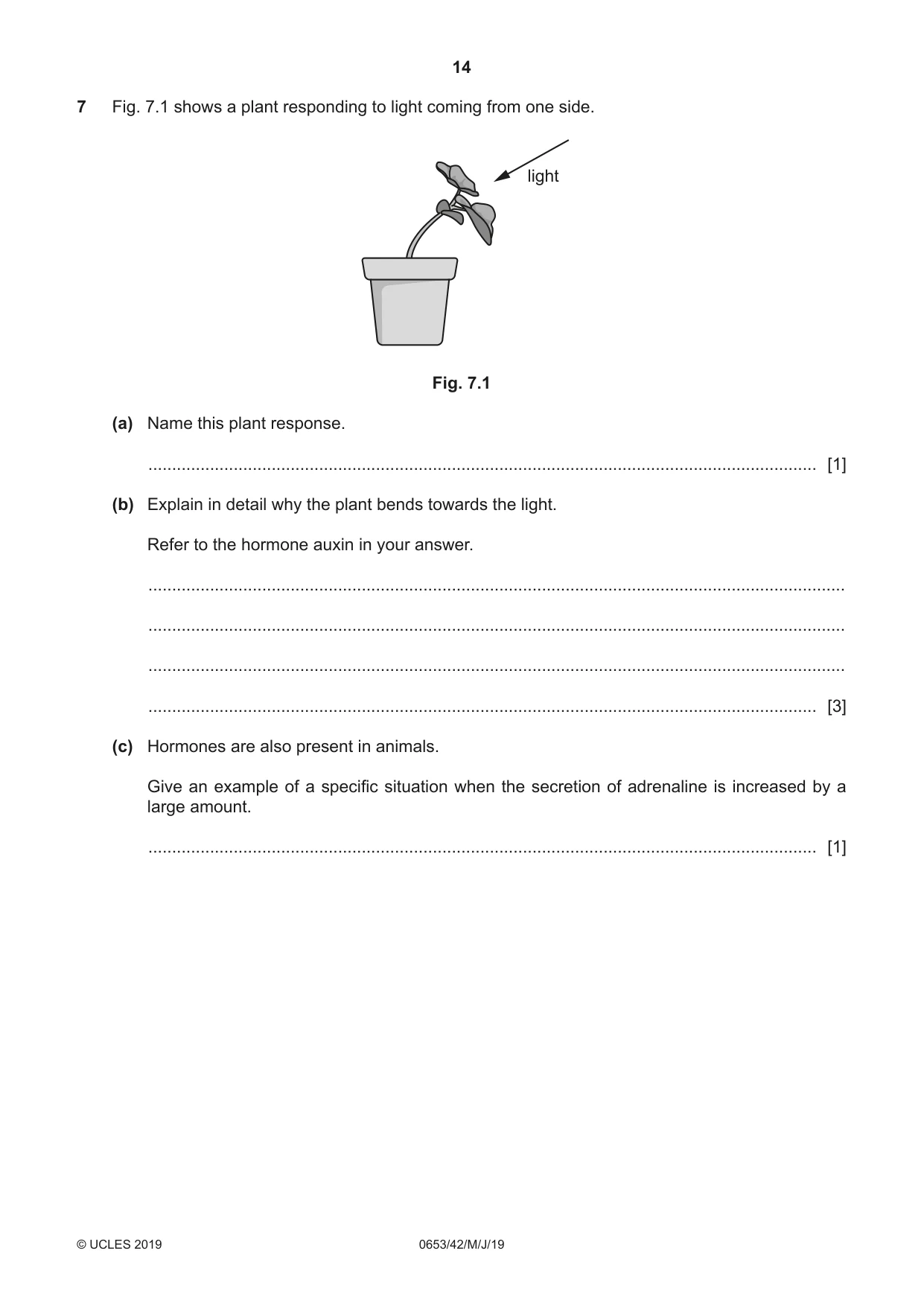 Cambridge IGCSE Science - Combined 0653 2019 May/June Paper 4 · Variant 2 question paper, page 14 of 20