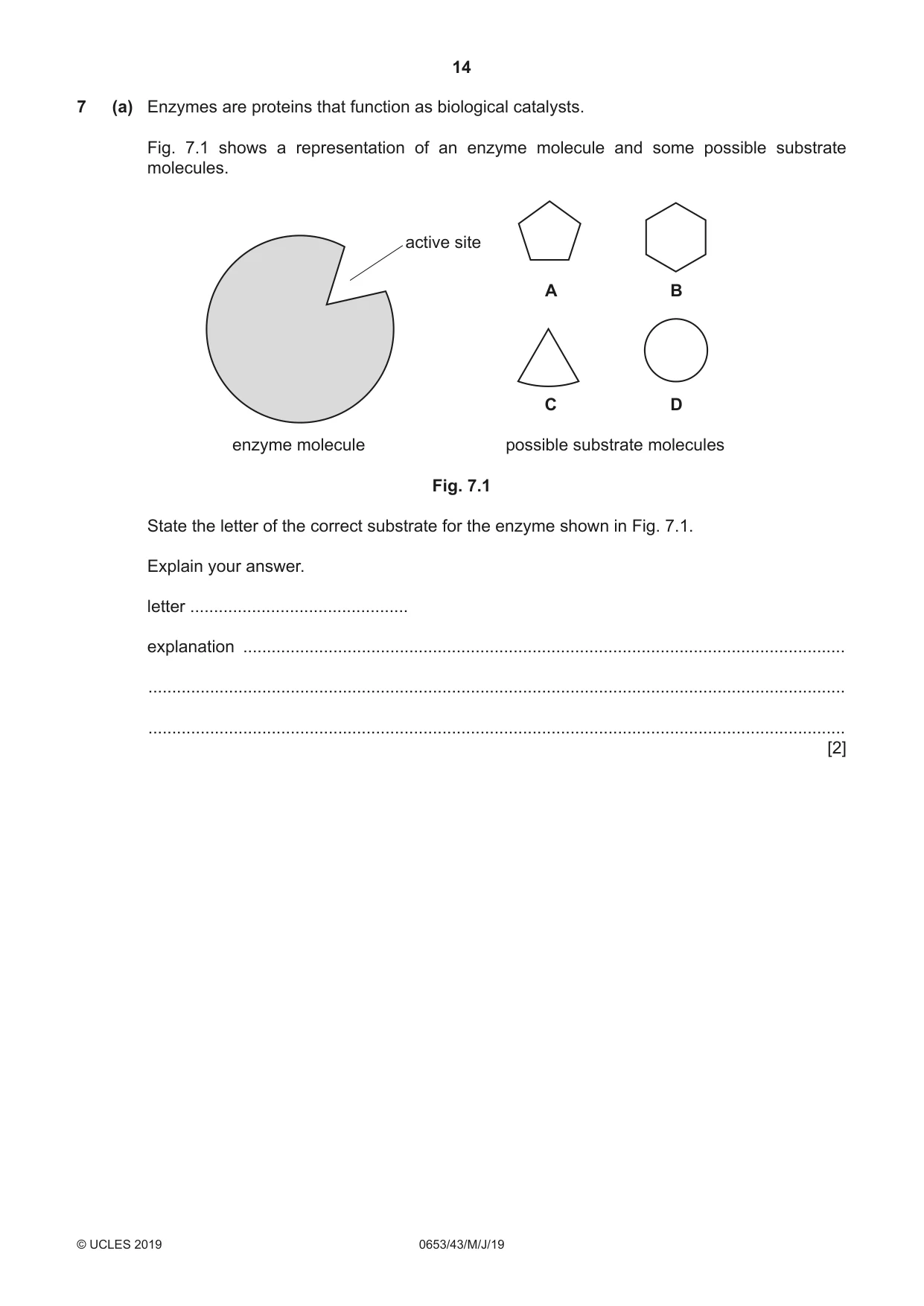 Cambridge IGCSE Science - Combined 0653 2019 May/June Paper 4 · Variant 3 question paper, page 14 of 20