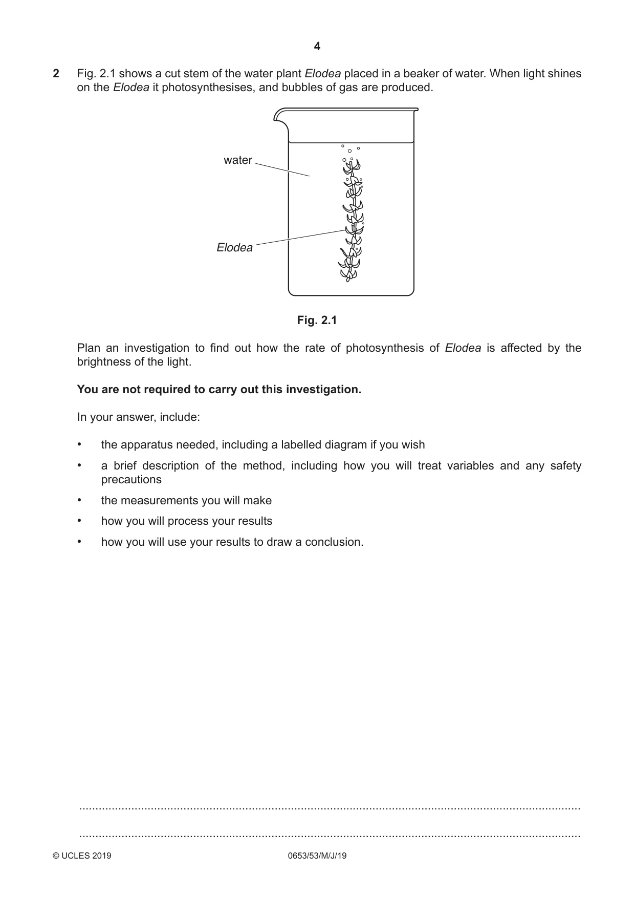 Cambridge IGCSE Science - Combined 0653 2019 May/June Paper 5 · Variant 3 question paper, page 4 of 12