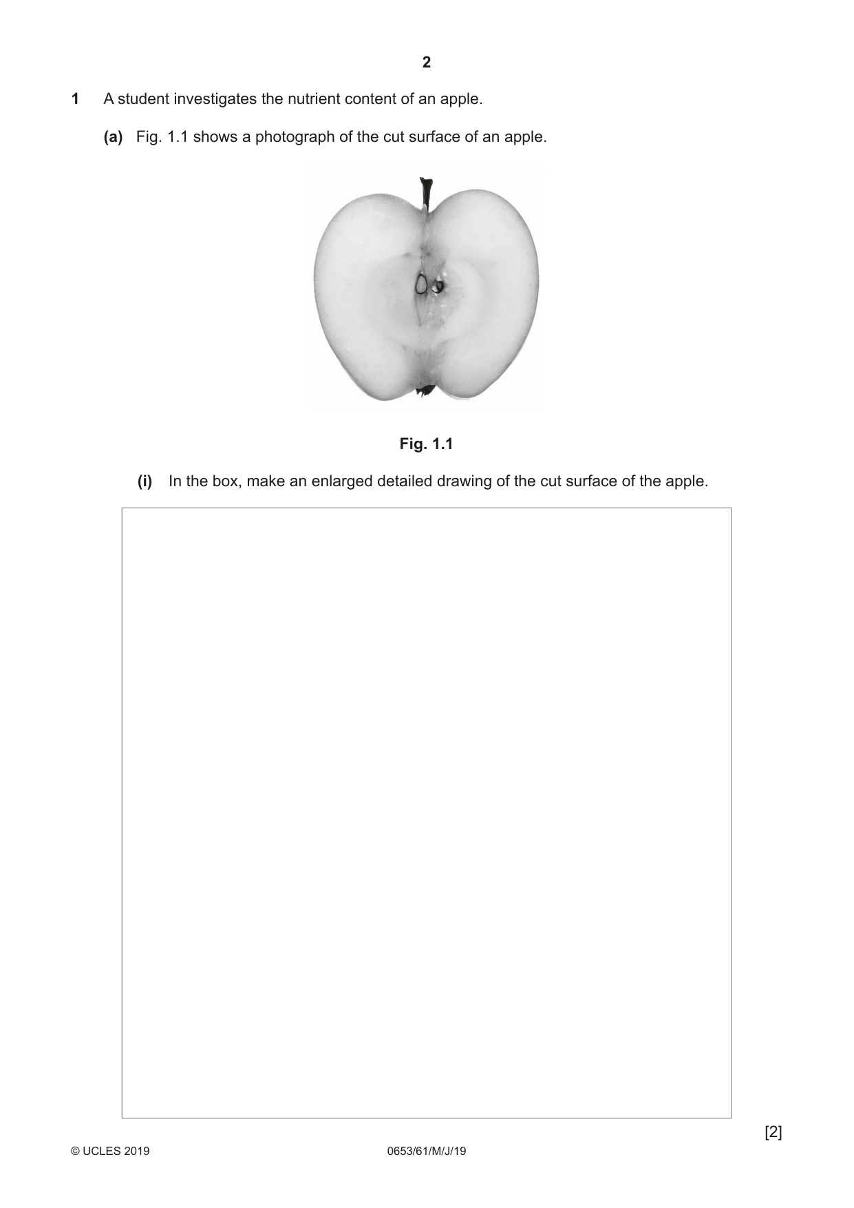 Cambridge IGCSE Science - Combined 0653 2019 May/June Paper 6 · Variant 1 question paper, page 2 of 16