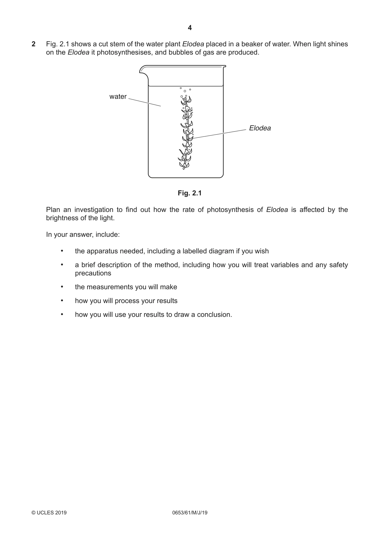 Cambridge IGCSE Science - Combined 0653 2019 May/June Paper 6 · Variant 1 question paper, page 4 of 16