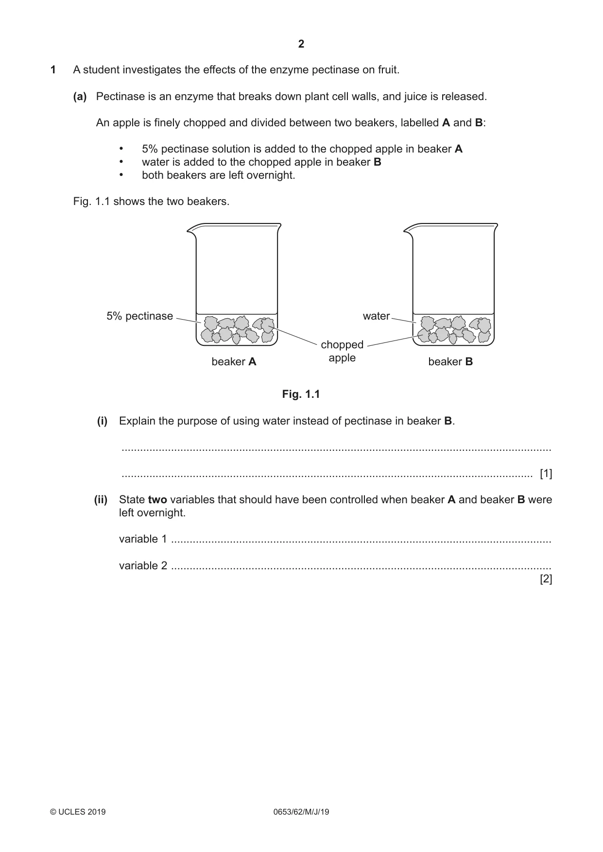 Cambridge IGCSE Science - Combined 0653 2019 May/June Paper 6 · Variant 2 question paper, page 2 of 12