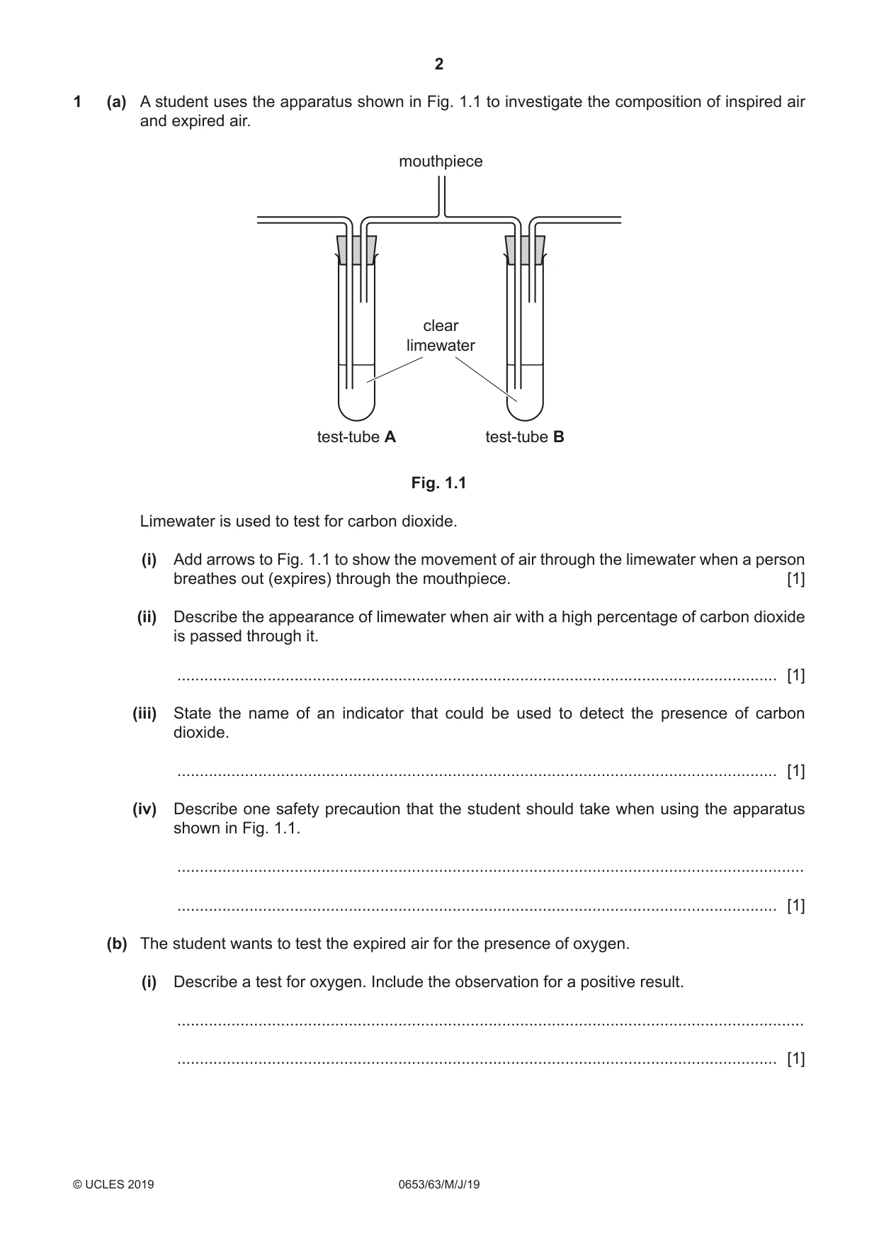 Cambridge IGCSE Science - Combined 0653 2019 May/June Paper 6 · Variant 3 question paper, page 2 of 16