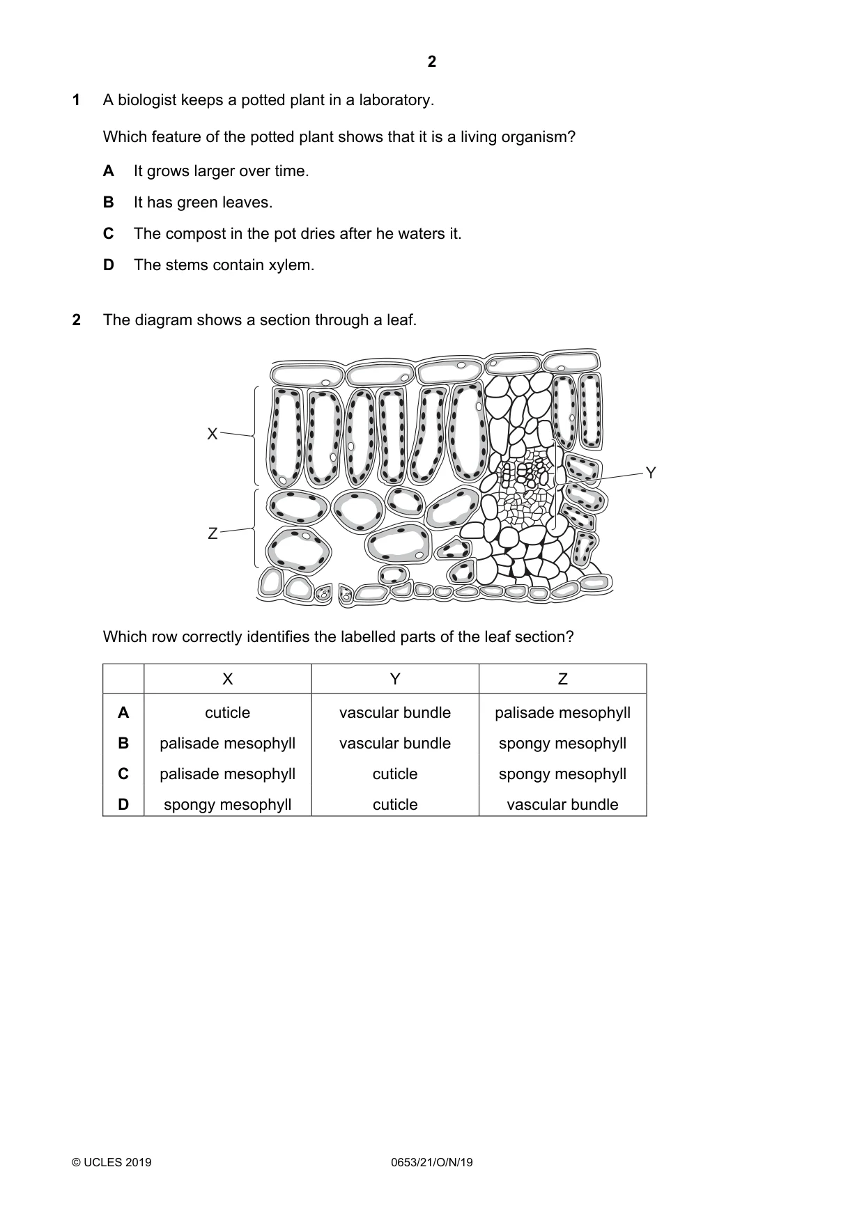 Cambridge IGCSE Science - Combined 0653 2019 Oct/Nov Paper 2 · Variant 1 question paper, page 2 of 16