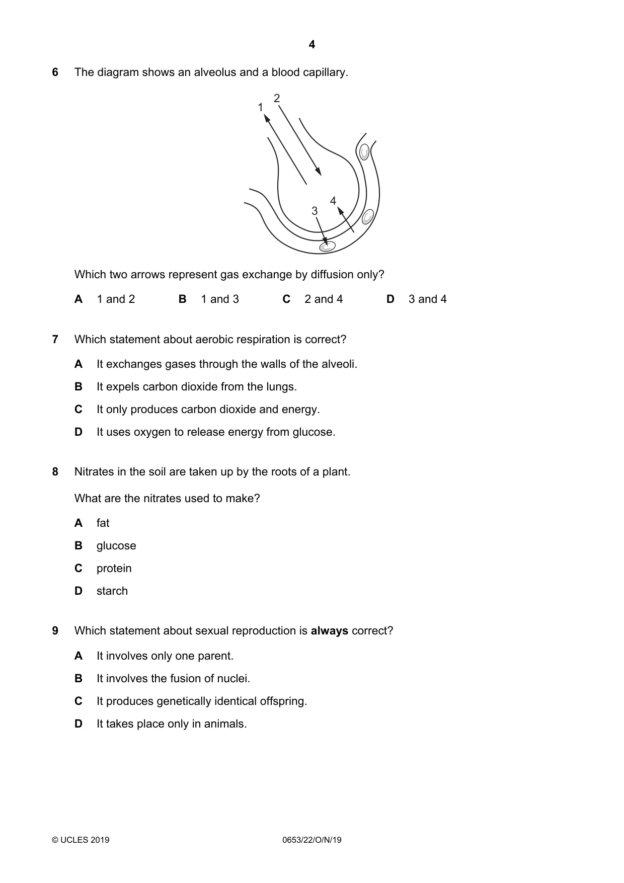 Cambridge IGCSE Science - Combined 0653 2019 Oct/Nov Paper 2 · Variant 2 question paper, page 4 of 16