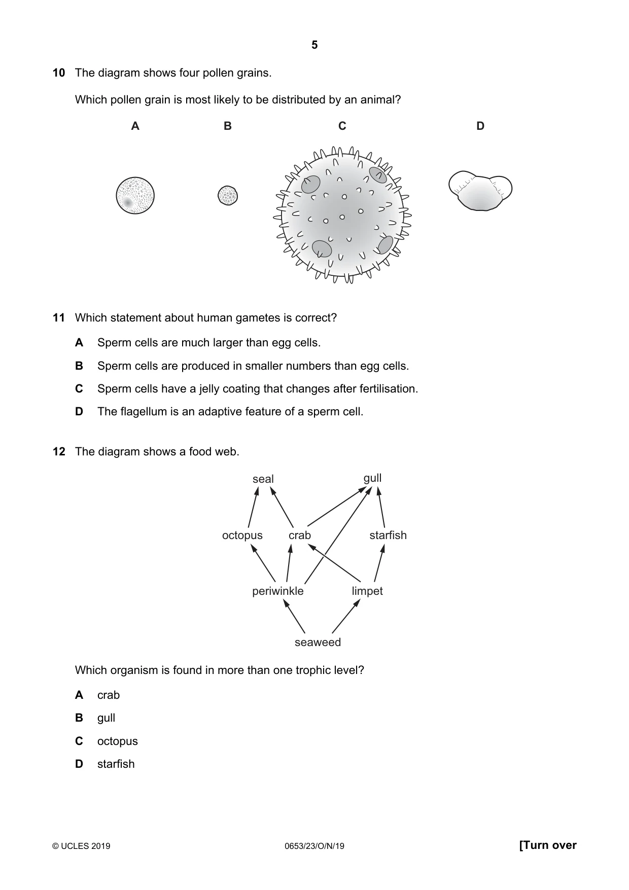 Cambridge IGCSE Science - Combined 0653 2019 Oct/Nov Paper 2 · Variant 3 question paper, page 5 of 20