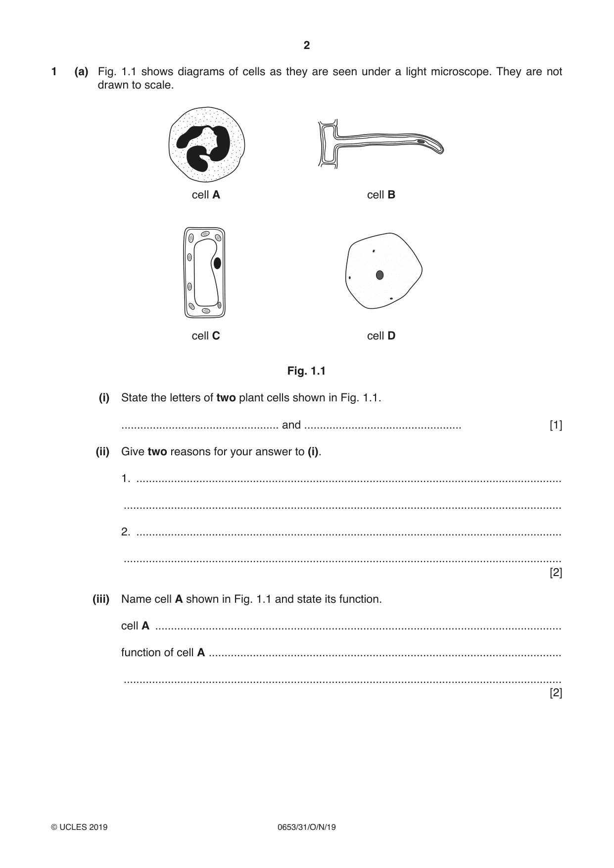 Cambridge IGCSE Science - Combined 0653 2019 Oct/Nov Paper 3 · Variant 1 question paper, page 2 of 24