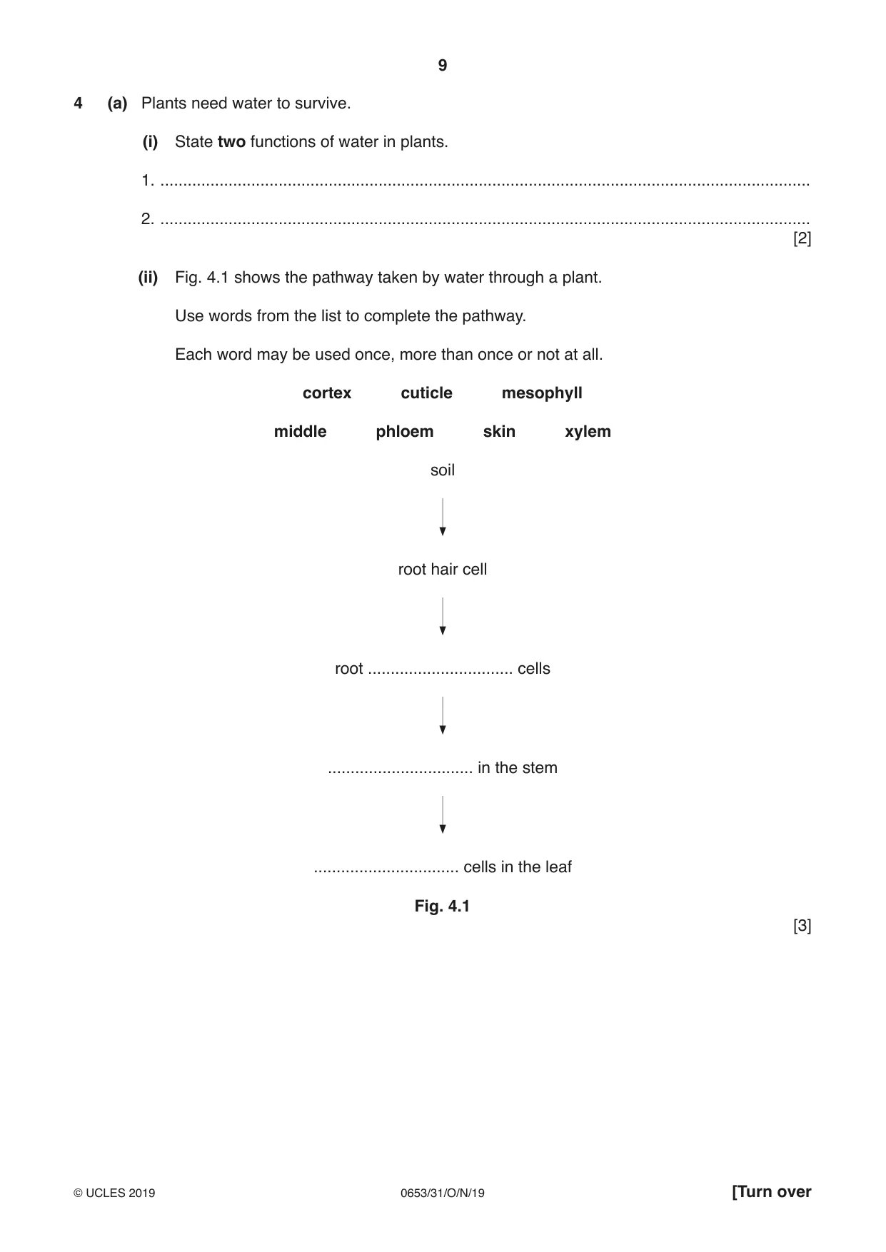 Cambridge IGCSE Science - Combined 0653 2019 Oct/Nov Paper 3 · Variant 1 question paper, page 9 of 24