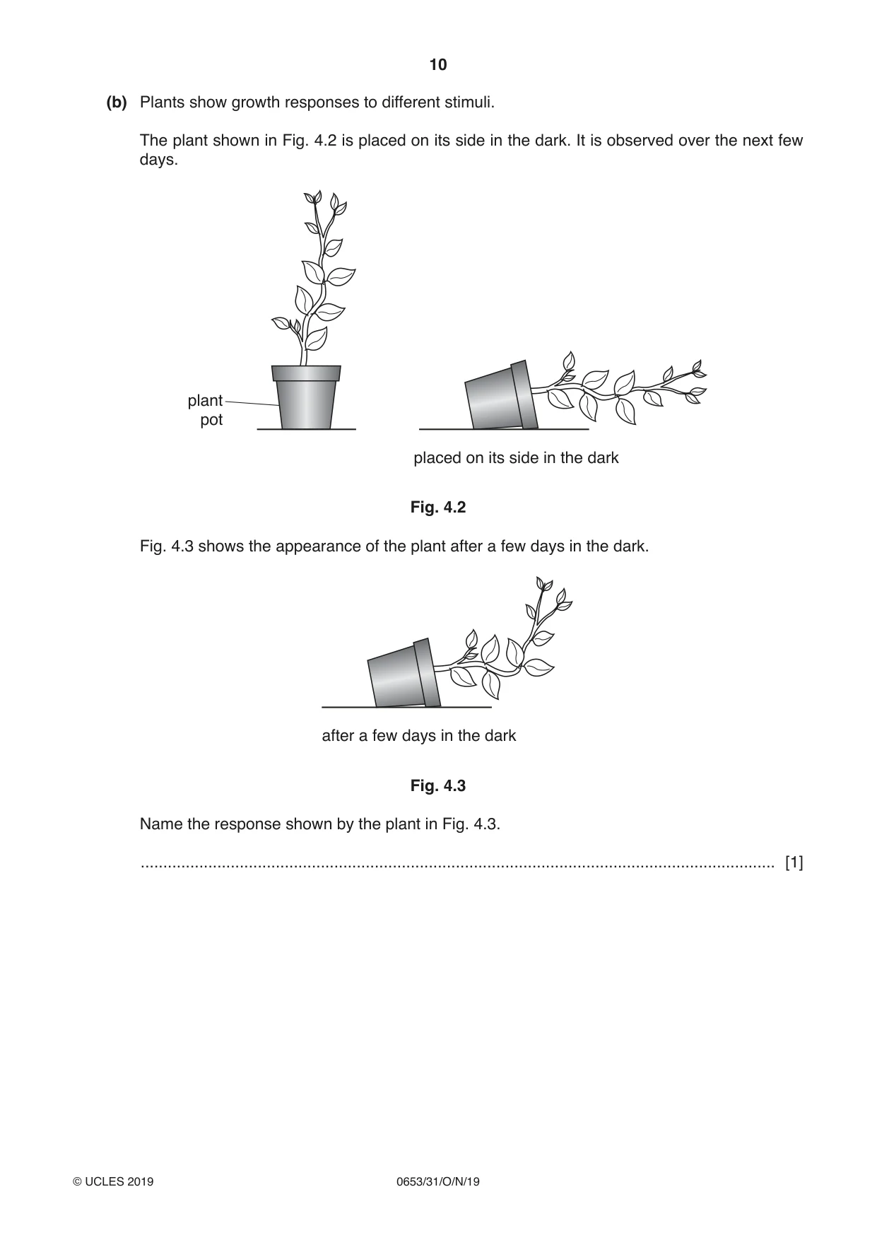 Cambridge IGCSE Science - Combined 0653 2019 Oct/Nov Paper 3 · Variant 1 question paper, page 10 of 24