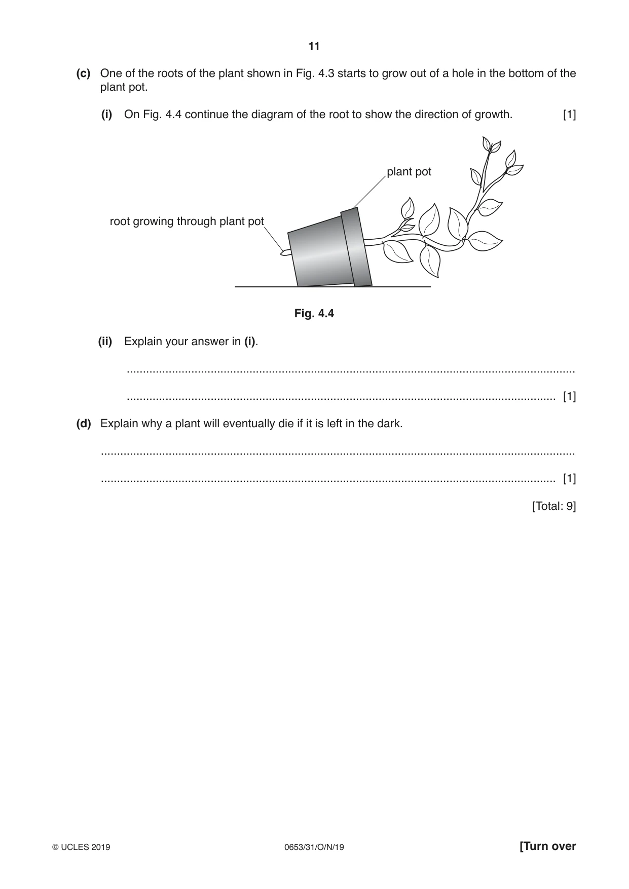 Cambridge IGCSE Science - Combined 0653 2019 Oct/Nov Paper 3 · Variant 1 question paper, page 11 of 24