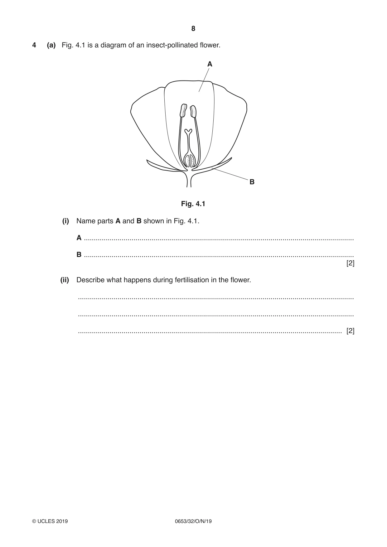 Cambridge IGCSE Science - Combined 0653 2019 Oct/Nov Paper 3 · Variant 2 question paper, page 8 of 20