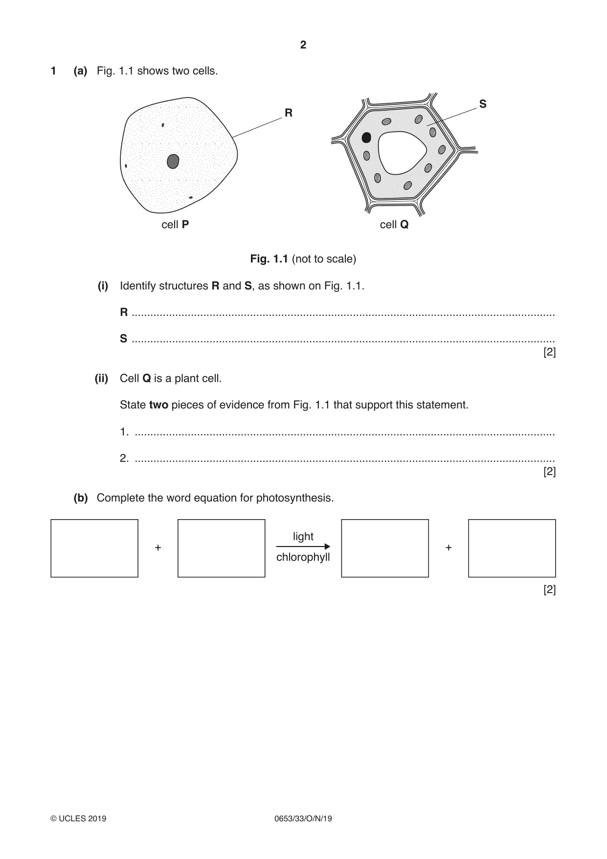 Cambridge IGCSE Science - Combined 0653 2019 Oct/Nov Paper 3 · Variant 3 question paper, page 2 of 20
