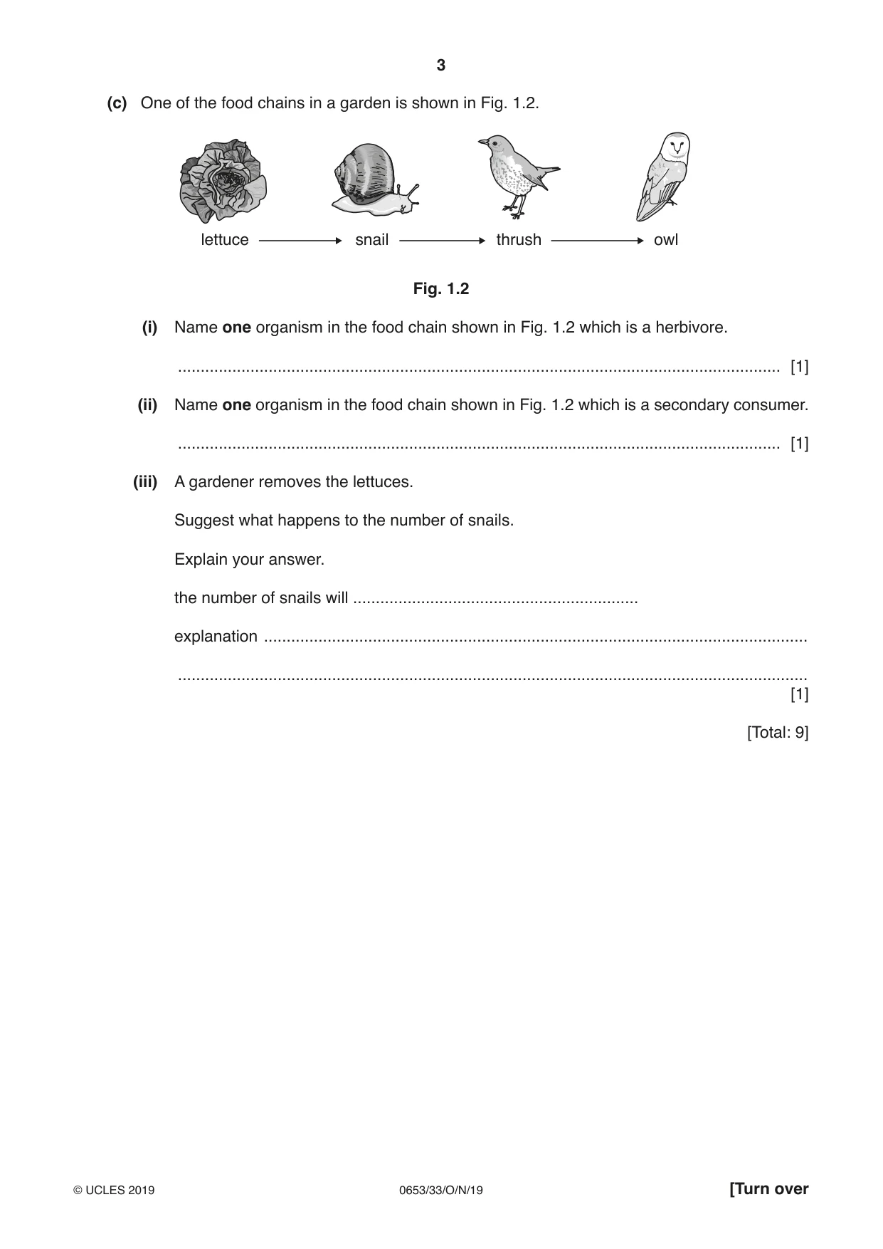 Cambridge IGCSE Science - Combined 0653 2019 Oct/Nov Paper 3 · Variant 3 question paper, page 3 of 20
