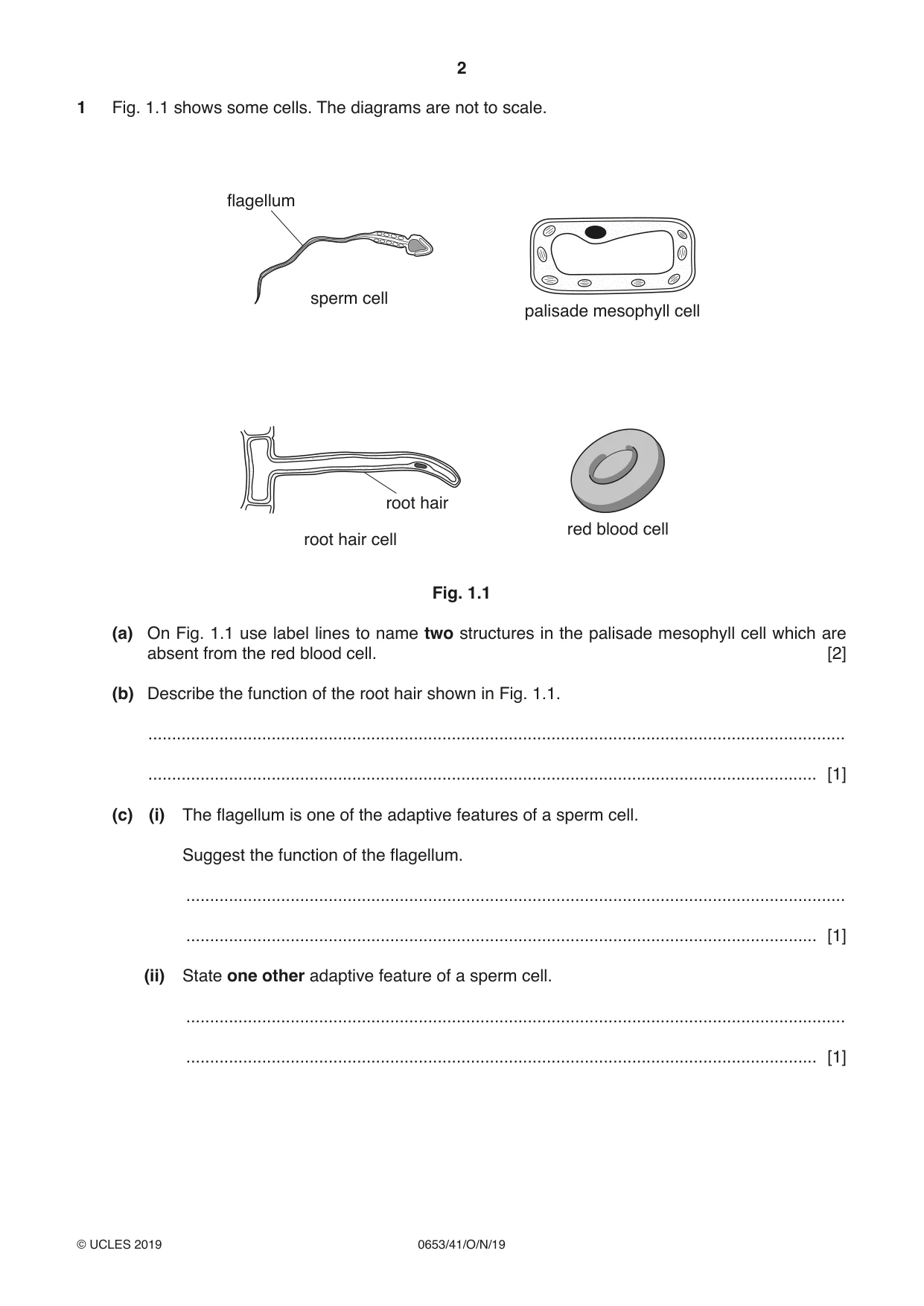 Cambridge IGCSE Science - Combined 0653 2019 Oct/Nov Paper 4 · Variant 1 question paper, page 2 of 20