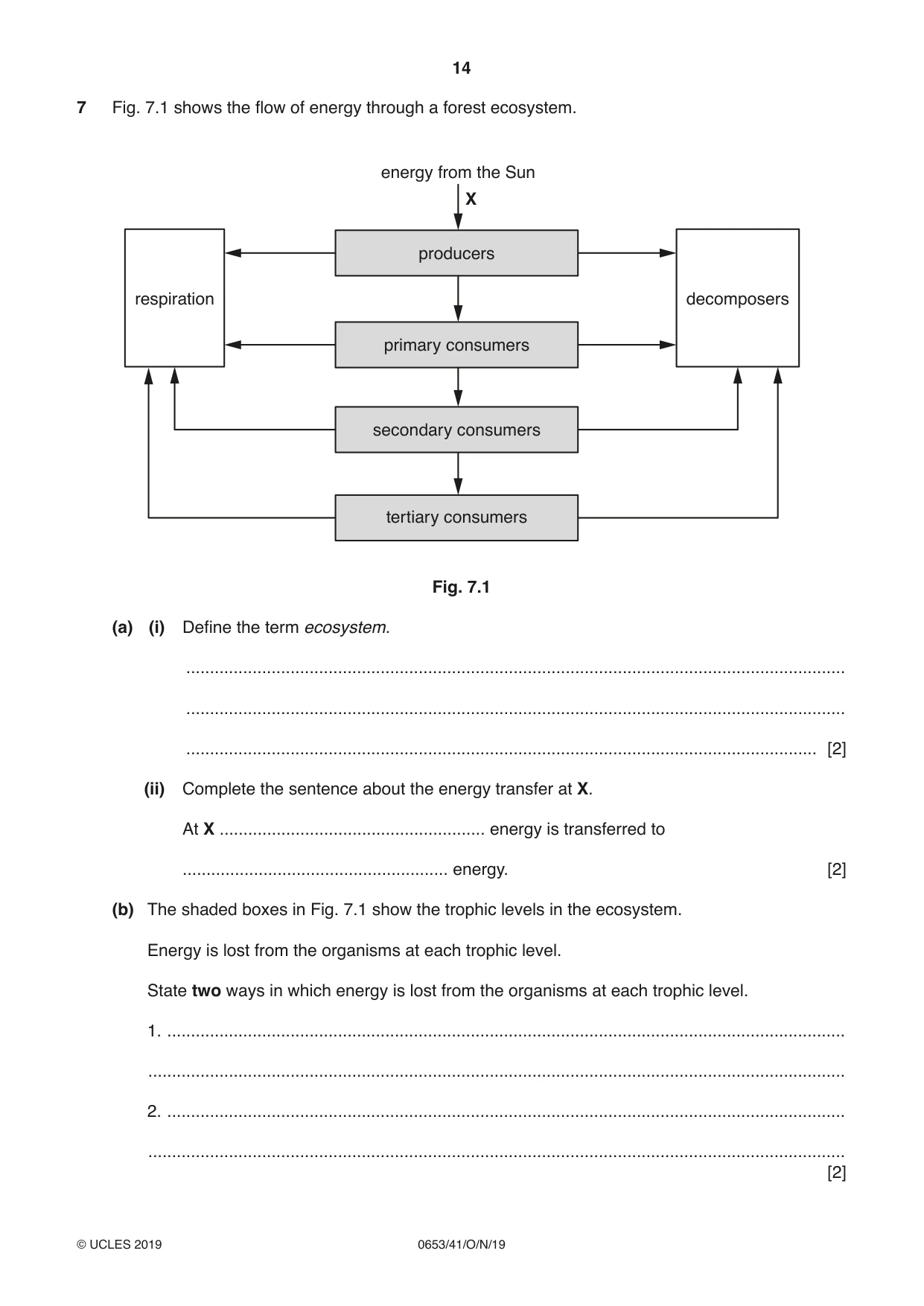 Cambridge IGCSE Science - Combined 0653 2019 Oct/Nov Paper 4 · Variant 1 question paper, page 14 of 20