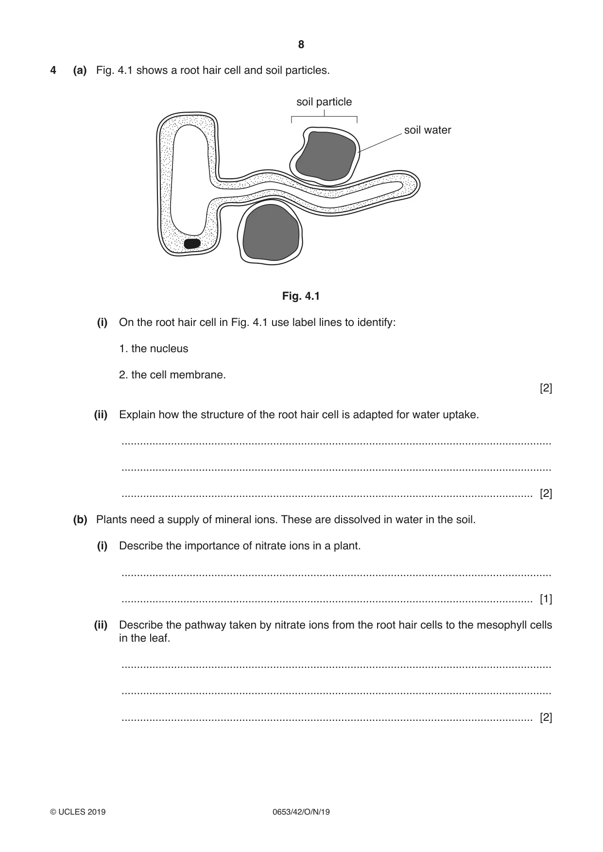 Cambridge IGCSE Science - Combined 0653 2019 Oct/Nov Paper 4 · Variant 2 question paper, page 8 of 20