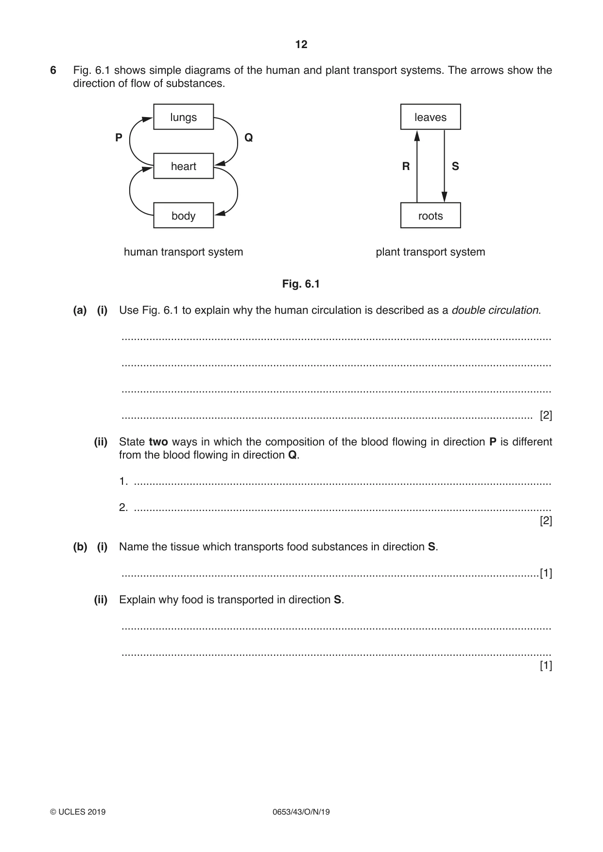 Cambridge IGCSE Science - Combined 0653 2019 Oct/Nov Paper 4 · Variant 3 question paper, page 12 of 20