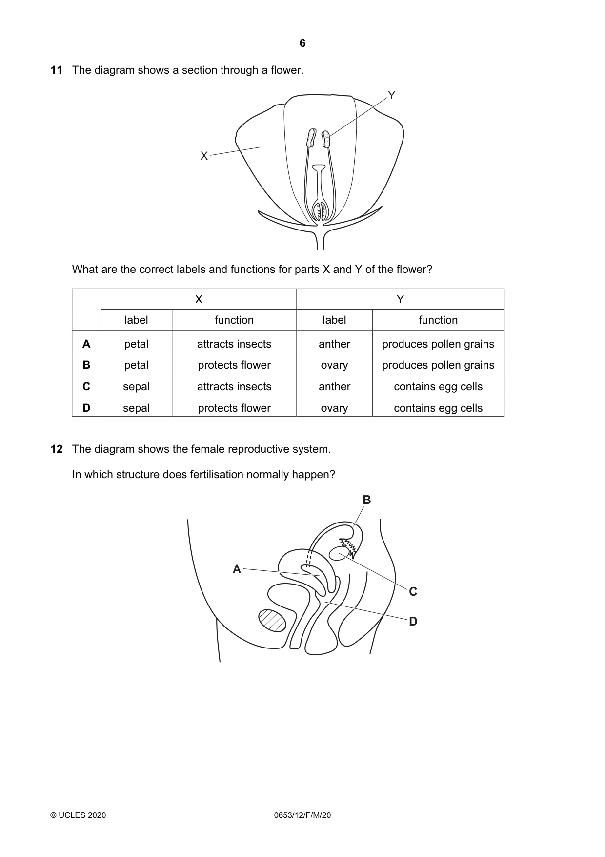 Cambridge IGCSE Science - Combined 0653 2020 Feb/March Paper 1 · Variant 2 question paper, page 6 of 16