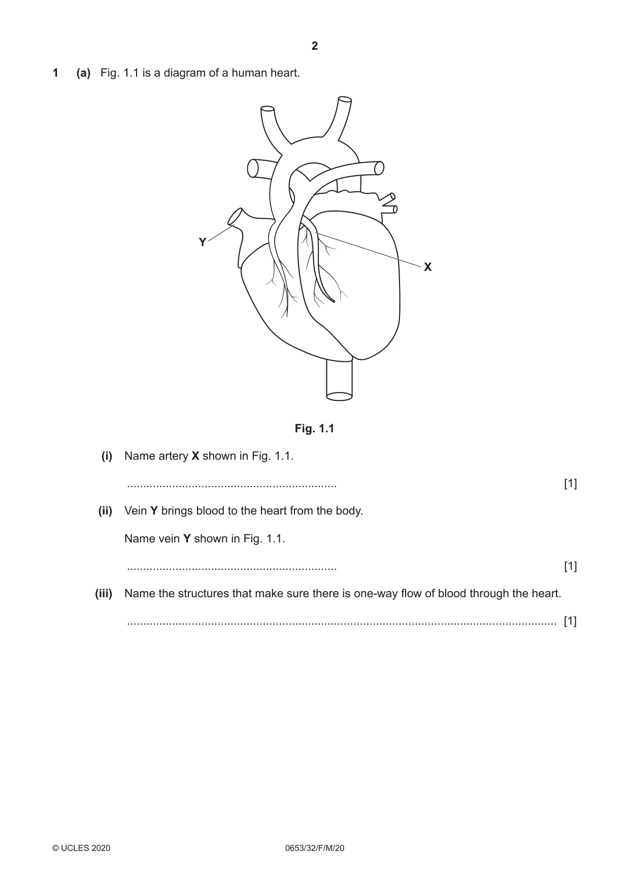 Cambridge IGCSE Science - Combined 0653 2020 Feb/March Paper 3 · Variant 2 question paper, page 2 of 24