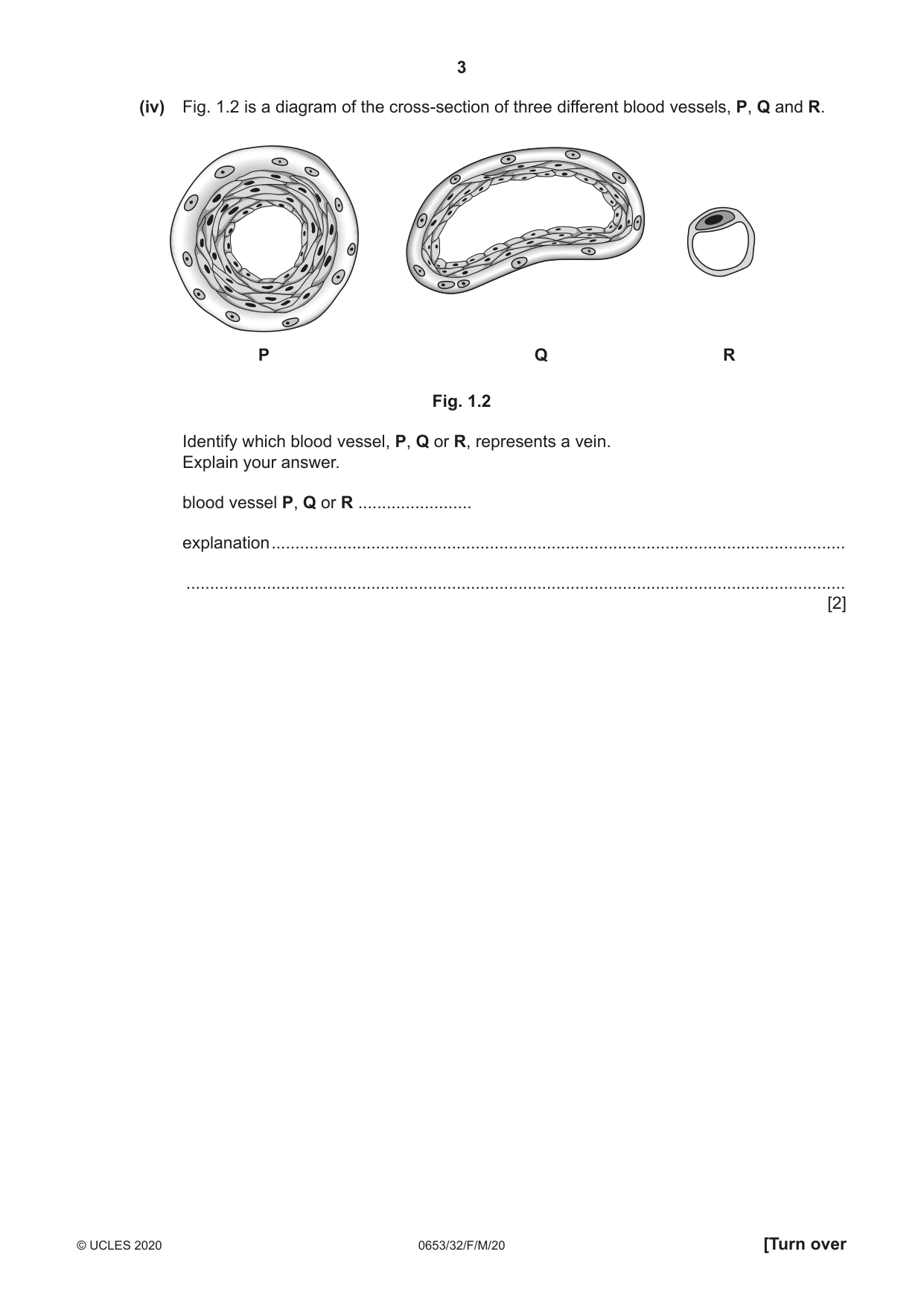 Cambridge IGCSE Science - Combined 0653 2020 Feb/March Paper 3 · Variant 2 question paper, page 3 of 24