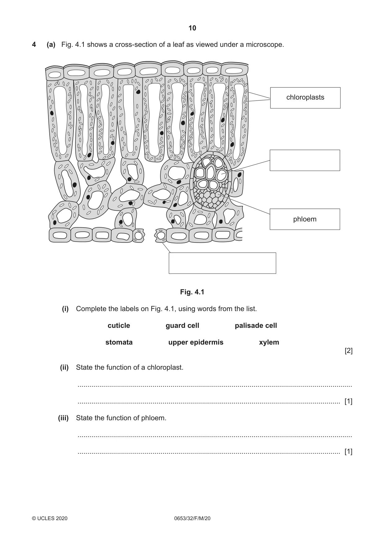 Cambridge IGCSE Science - Combined 0653 2020 Feb/March Paper 3 · Variant 2 question paper, page 10 of 24