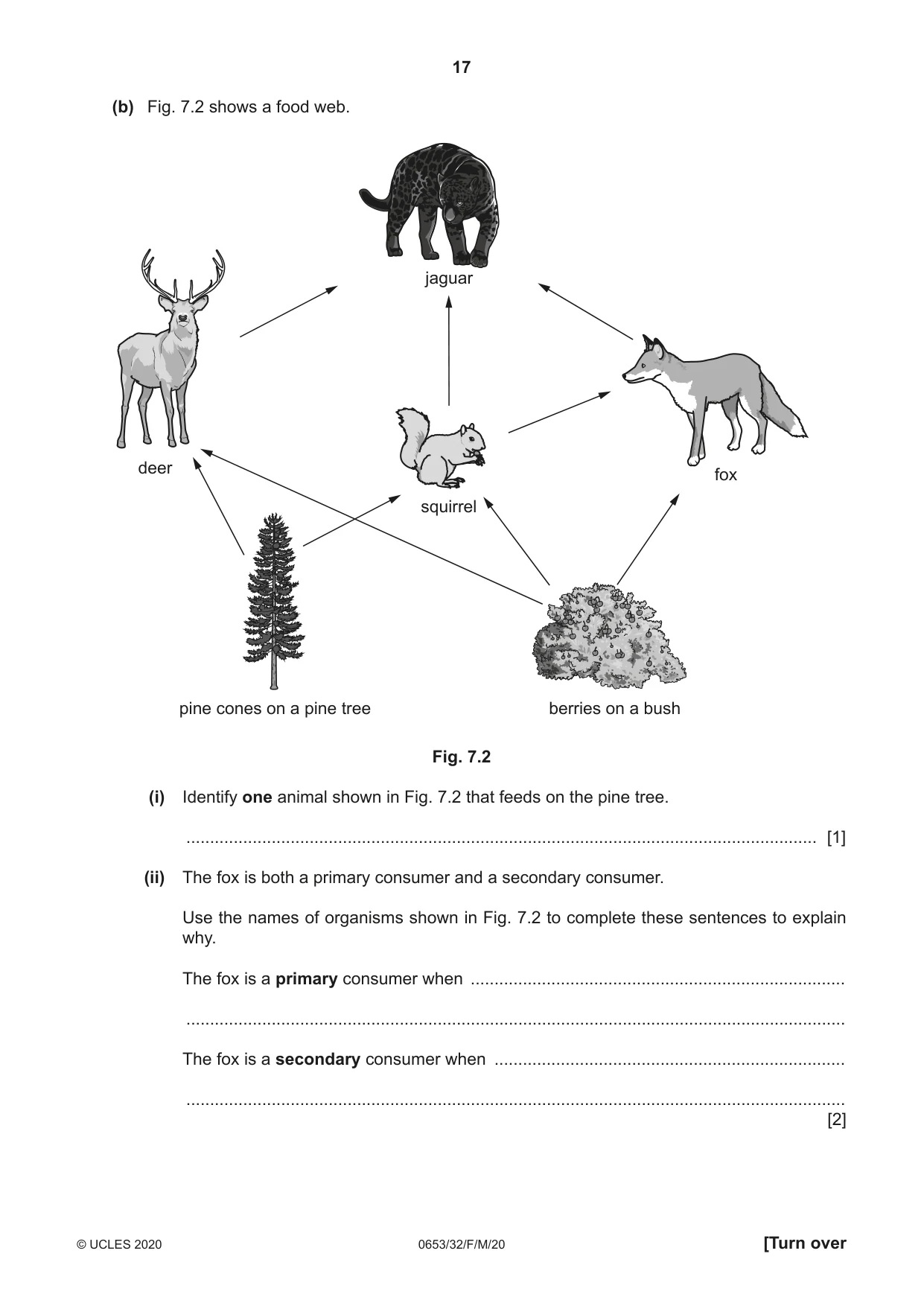 Cambridge IGCSE Science - Combined 0653 2020 Feb/March Paper 3 · Variant 2 question paper, page 17 of 24