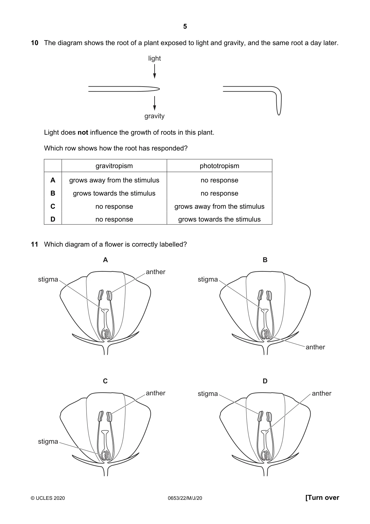 Cambridge IGCSE Science - Combined 0653 2020 May/June Paper 2 · Variant 2 question paper, page 5 of 16