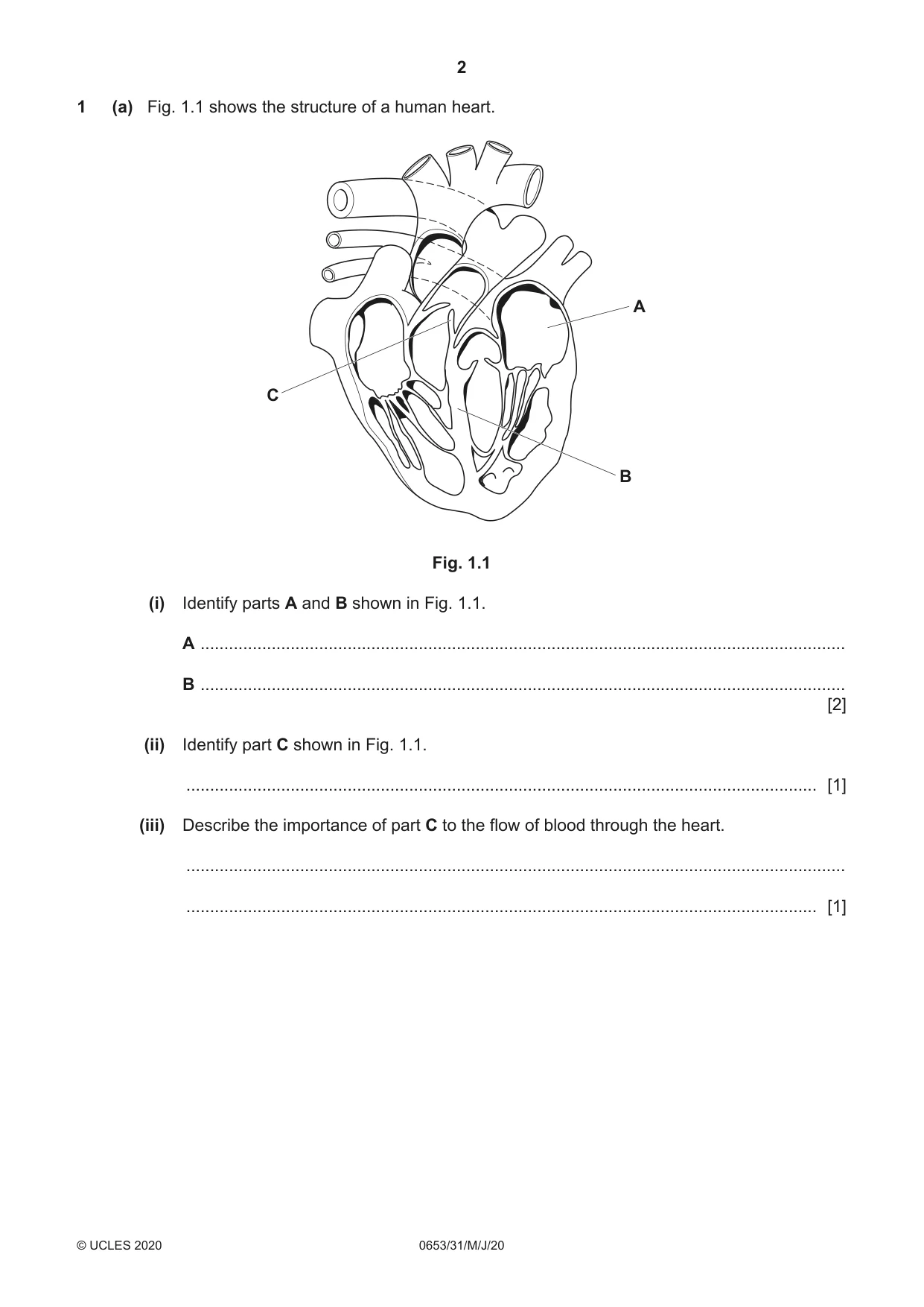 Cambridge IGCSE Science - Combined 0653 2020 May/June Paper 3 · Variant 1 question paper, page 2 of 24