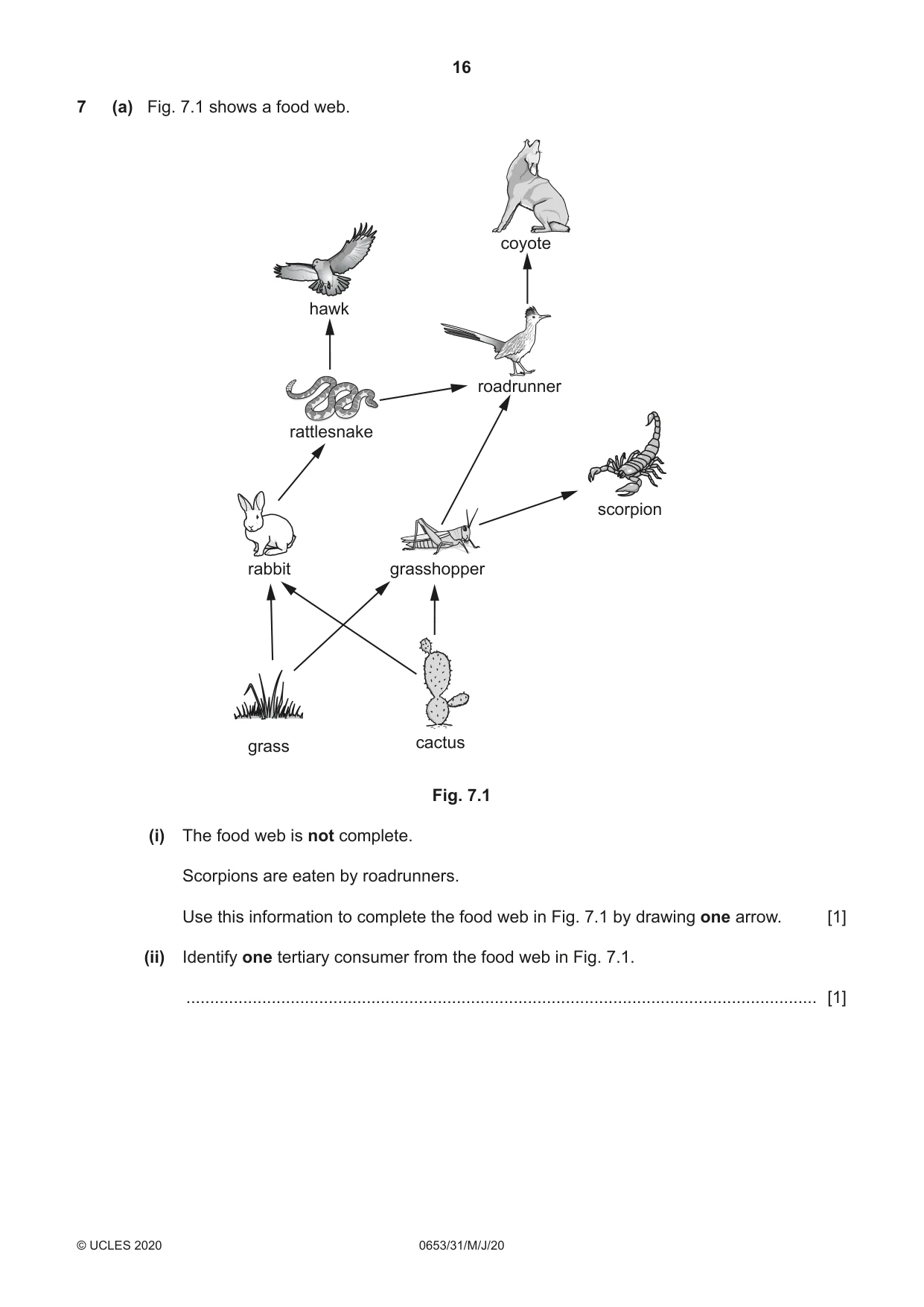 Cambridge IGCSE Science - Combined 0653 2020 May/June Paper 3 · Variant 1 question paper, page 16 of 24