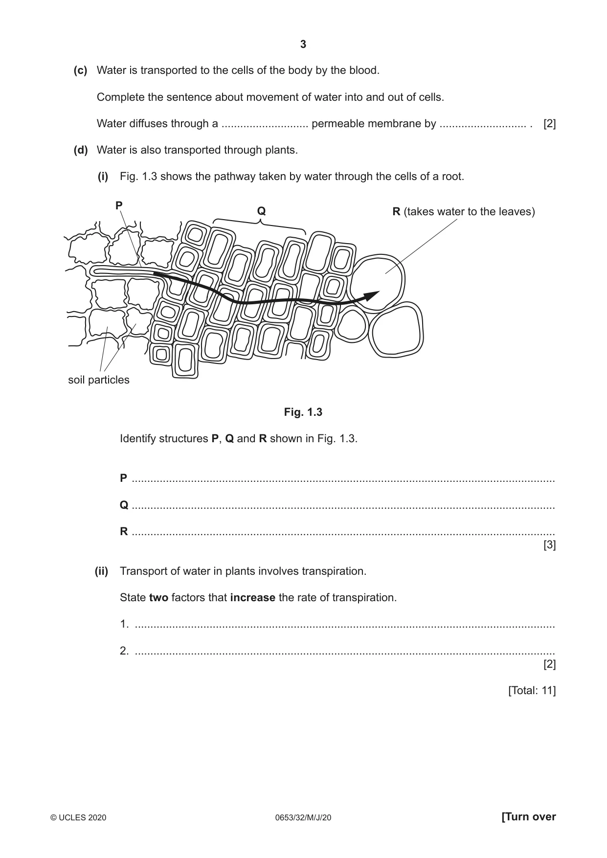 Cambridge IGCSE Science - Combined 0653 2020 May/June Paper 3 · Variant 2 question paper, page 3 of 20