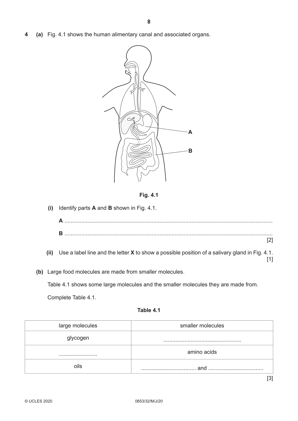 Cambridge IGCSE Science - Combined 0653 2020 May/June Paper 3 · Variant 2 question paper, page 8 of 20