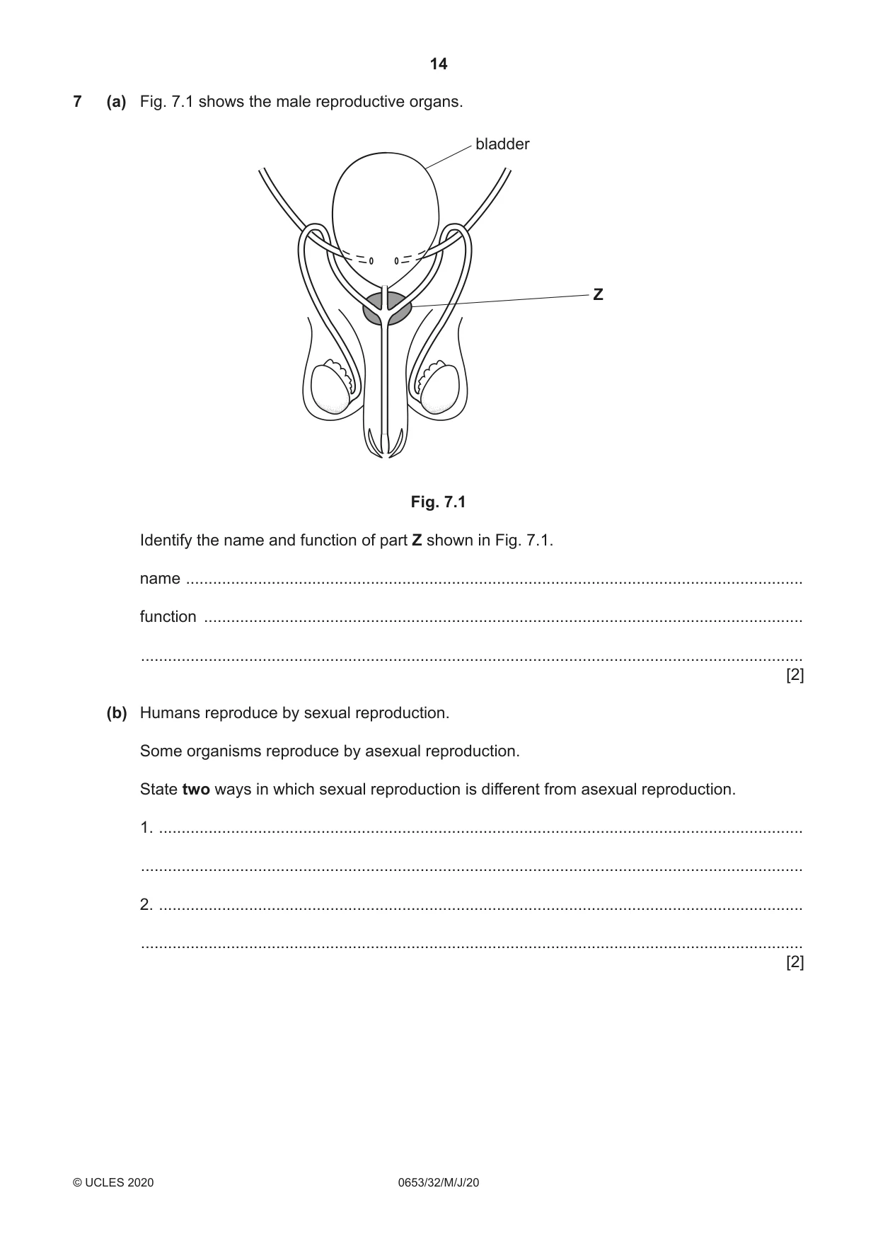 Cambridge IGCSE Science - Combined 0653 2020 May/June Paper 3 · Variant 2 question paper, page 14 of 20