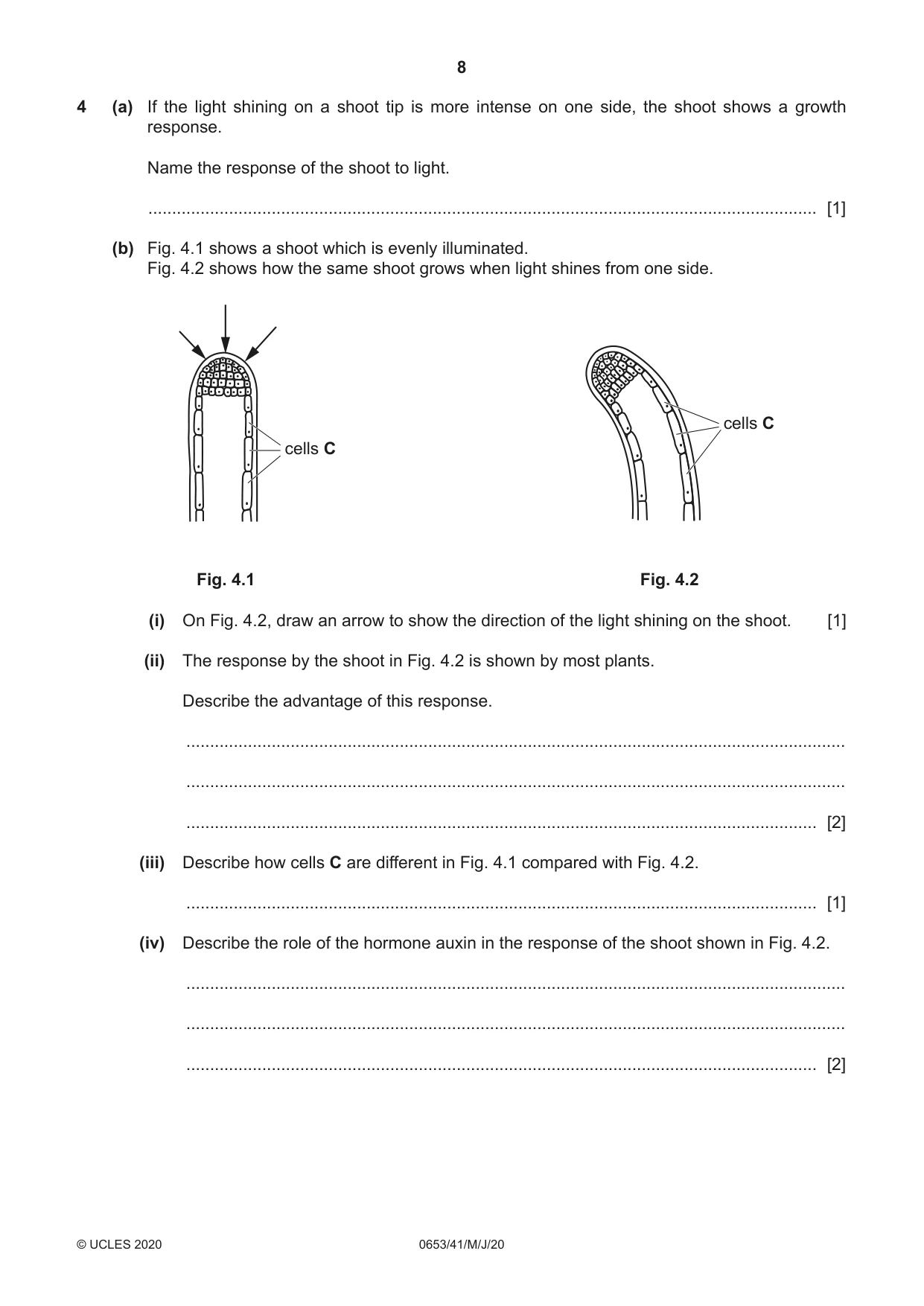 Cambridge IGCSE Science - Combined 0653 2020 May/June Paper 4 · Variant 1 question paper, page 8 of 20