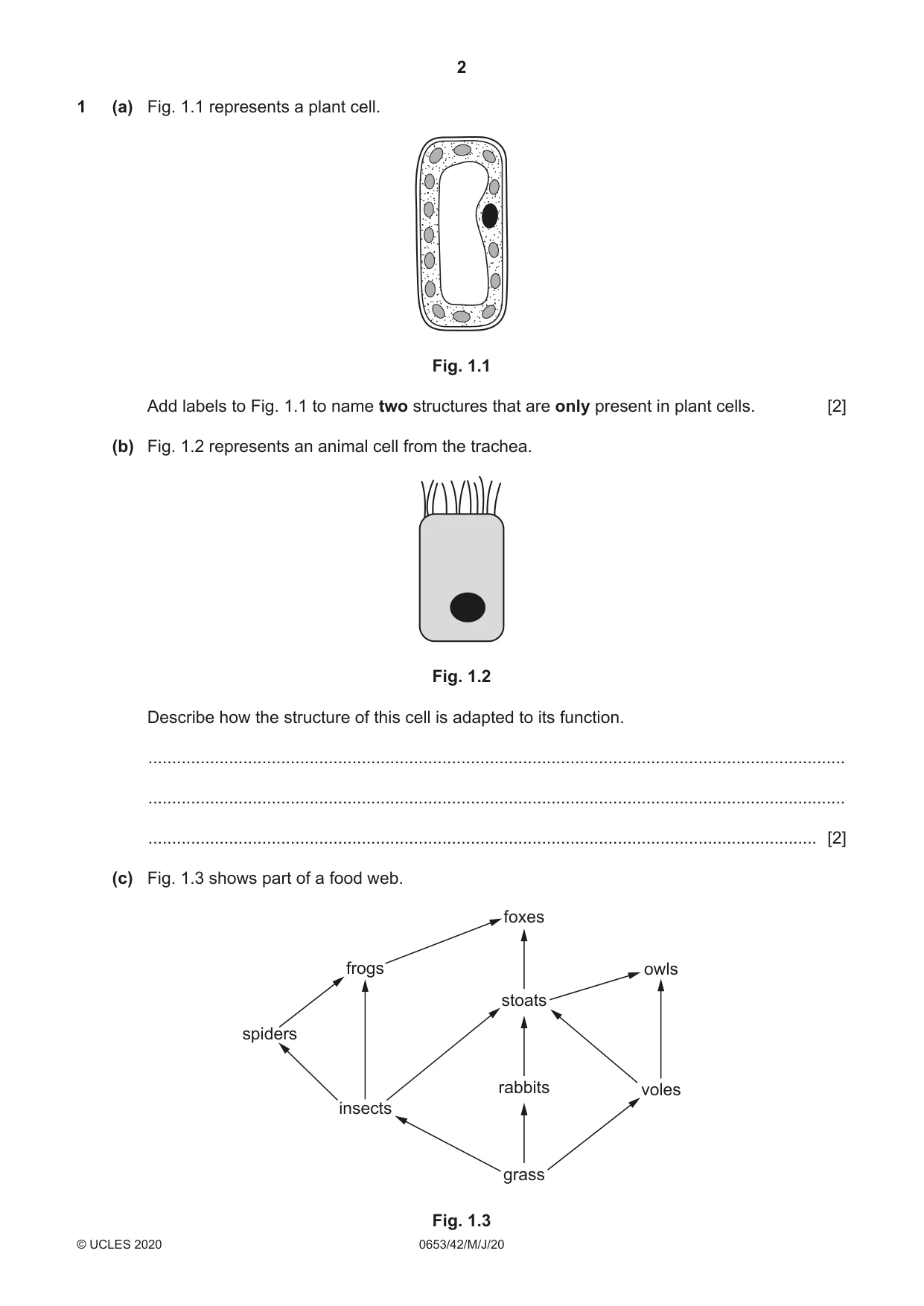 Cambridge IGCSE Science - Combined 0653 2020 May/June Paper 4 · Variant 2 question paper, page 2 of 20