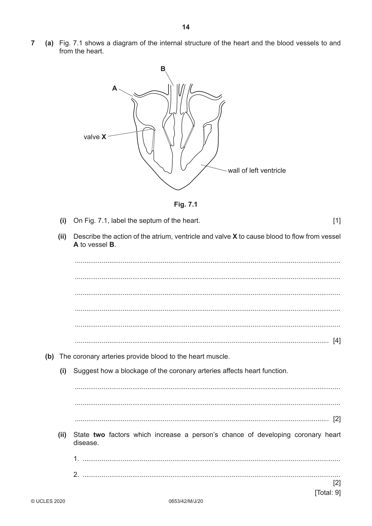 Cambridge IGCSE Science - Combined 0653 2020 May/June Paper 4 · Variant 2 question paper, page 14 of 20