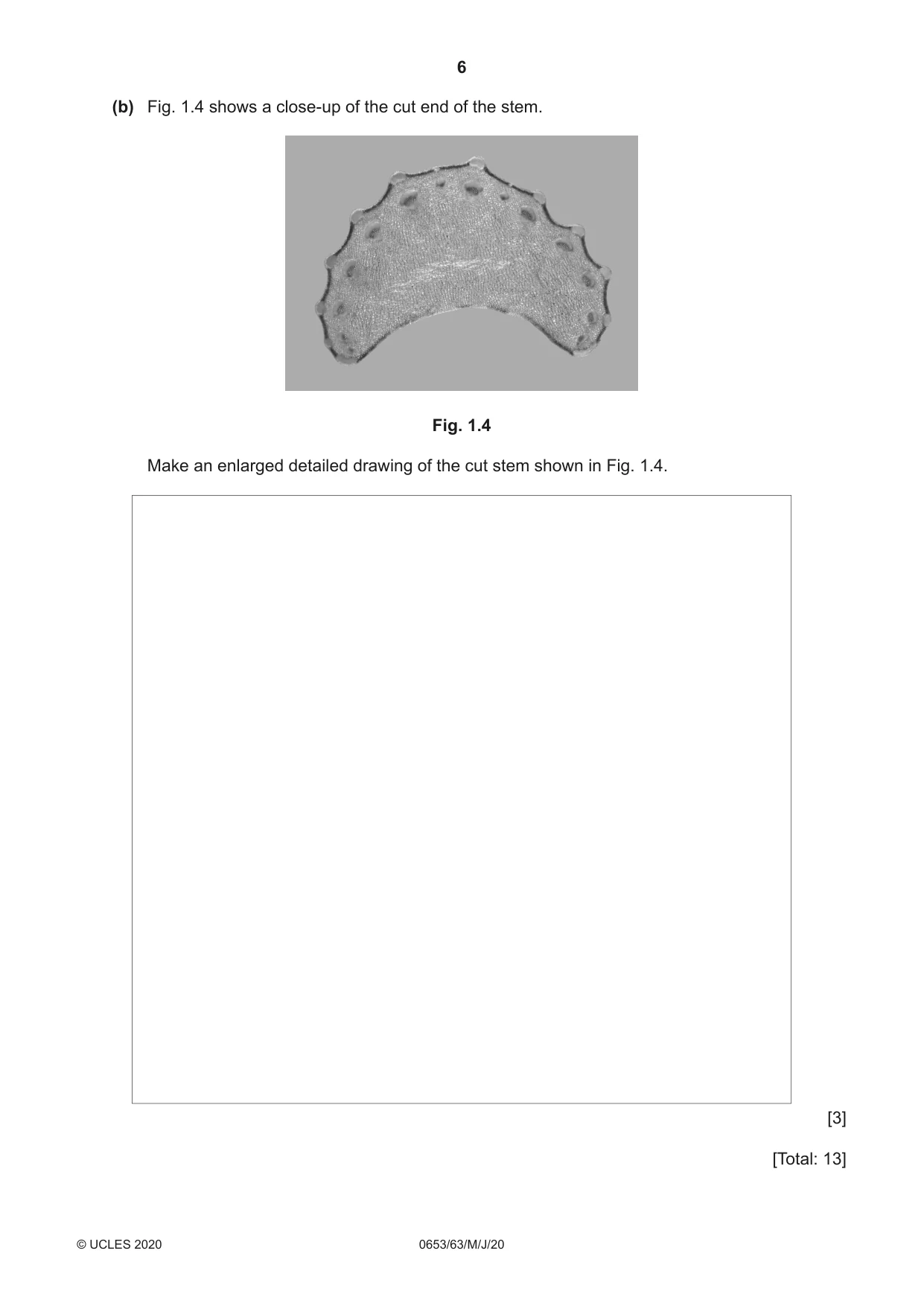 Cambridge IGCSE Science - Combined 0653 2020 May/June Paper 6 · Variant 3 question paper, page 6 of 16