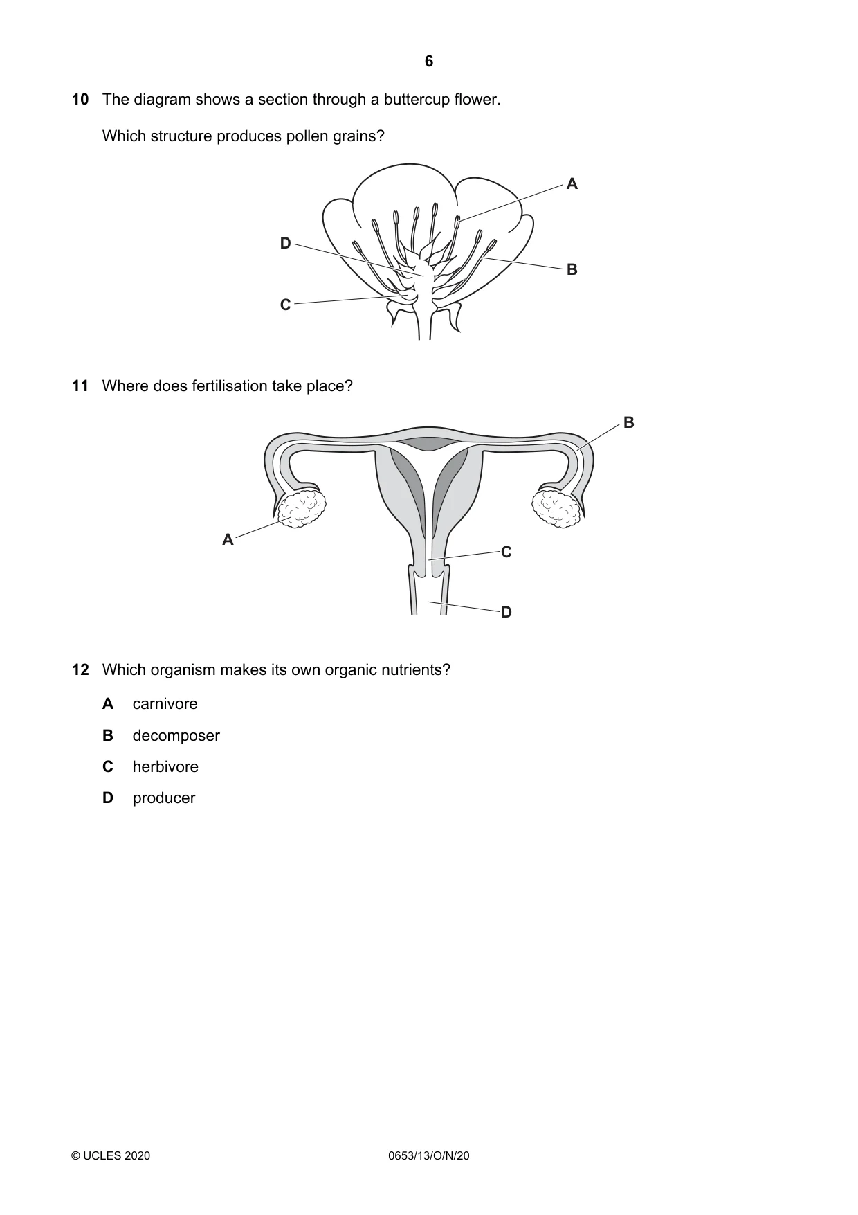 Cambridge IGCSE Science - Combined 0653 2020 Oct/Nov Paper 1 · Variant 3 question paper, page 6 of 20