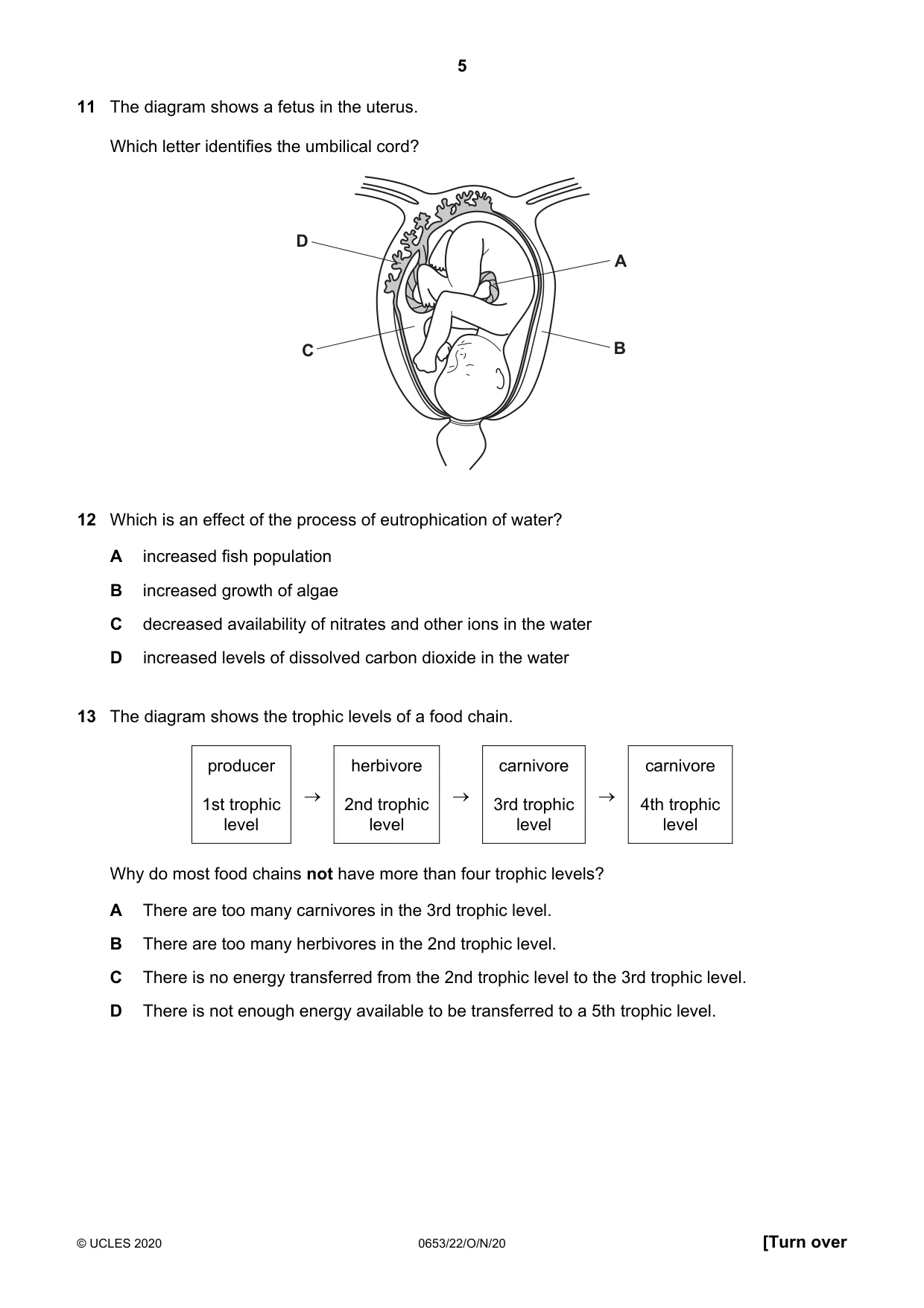 Cambridge IGCSE Science - Combined 0653 2020 Oct/Nov Paper 2 · Variant 2 question paper, page 5 of 16