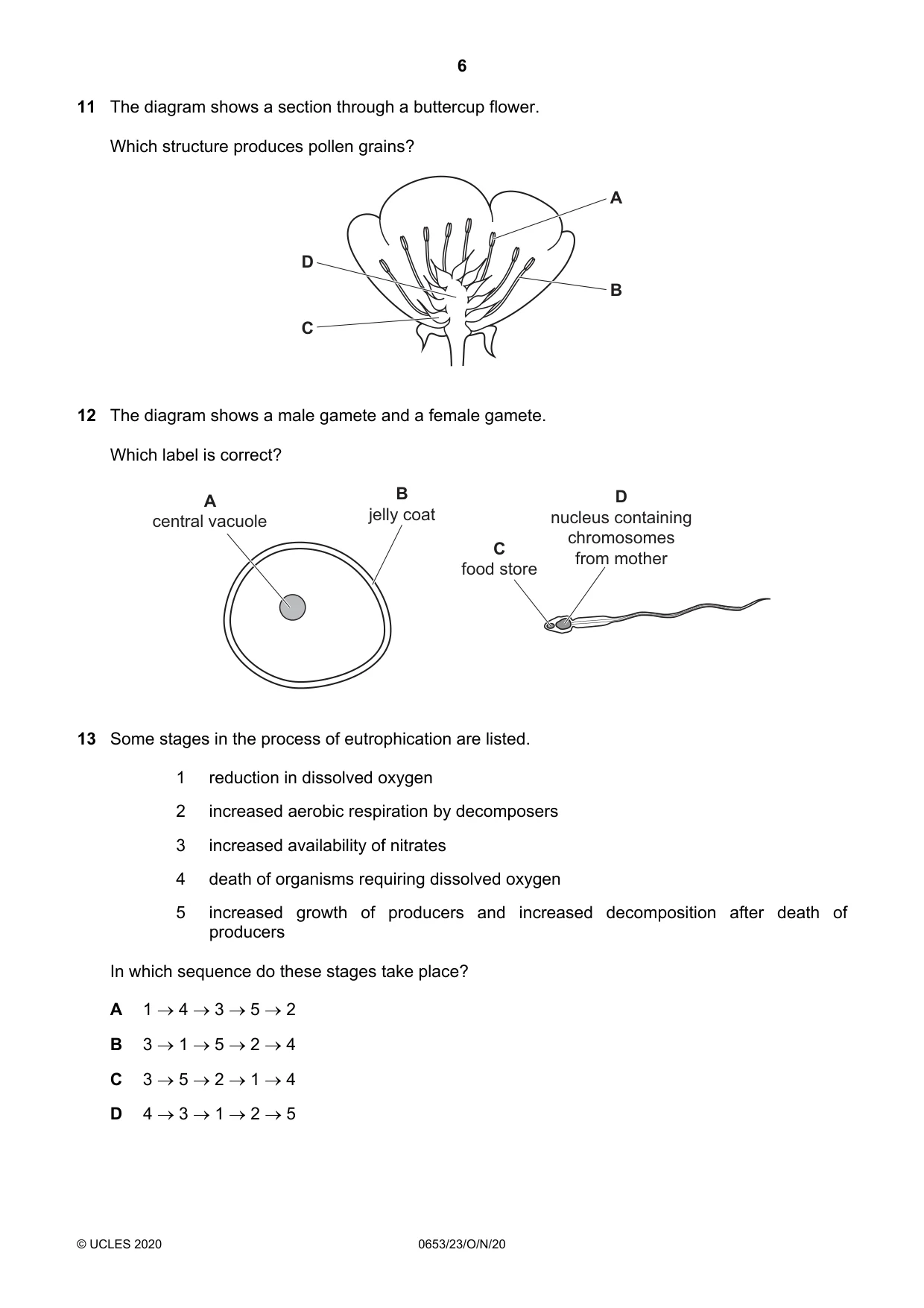 Cambridge IGCSE Science - Combined 0653 2020 Oct/Nov Paper 2 · Variant 3 question paper, page 6 of 16