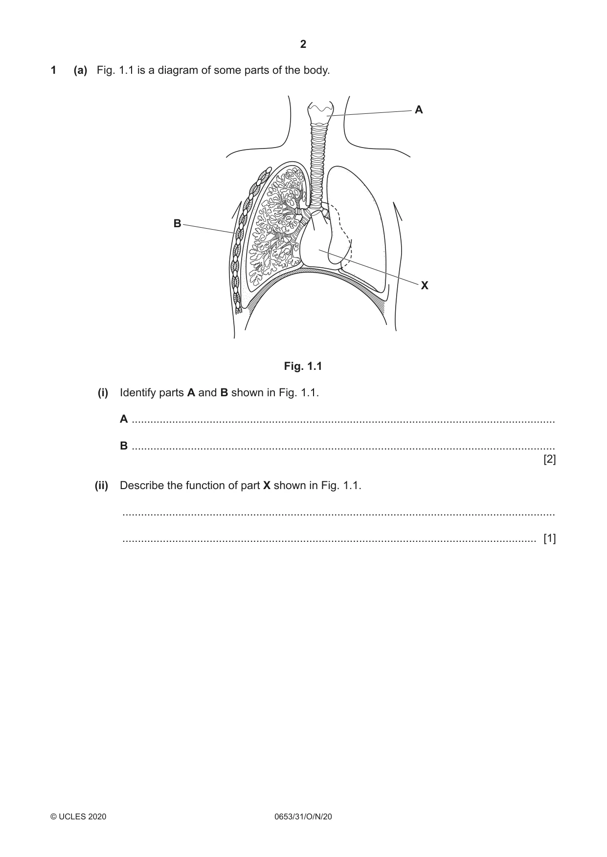 Cambridge IGCSE Science - Combined 0653 2020 Oct/Nov Paper 3 · Variant 1 question paper, page 2 of 20