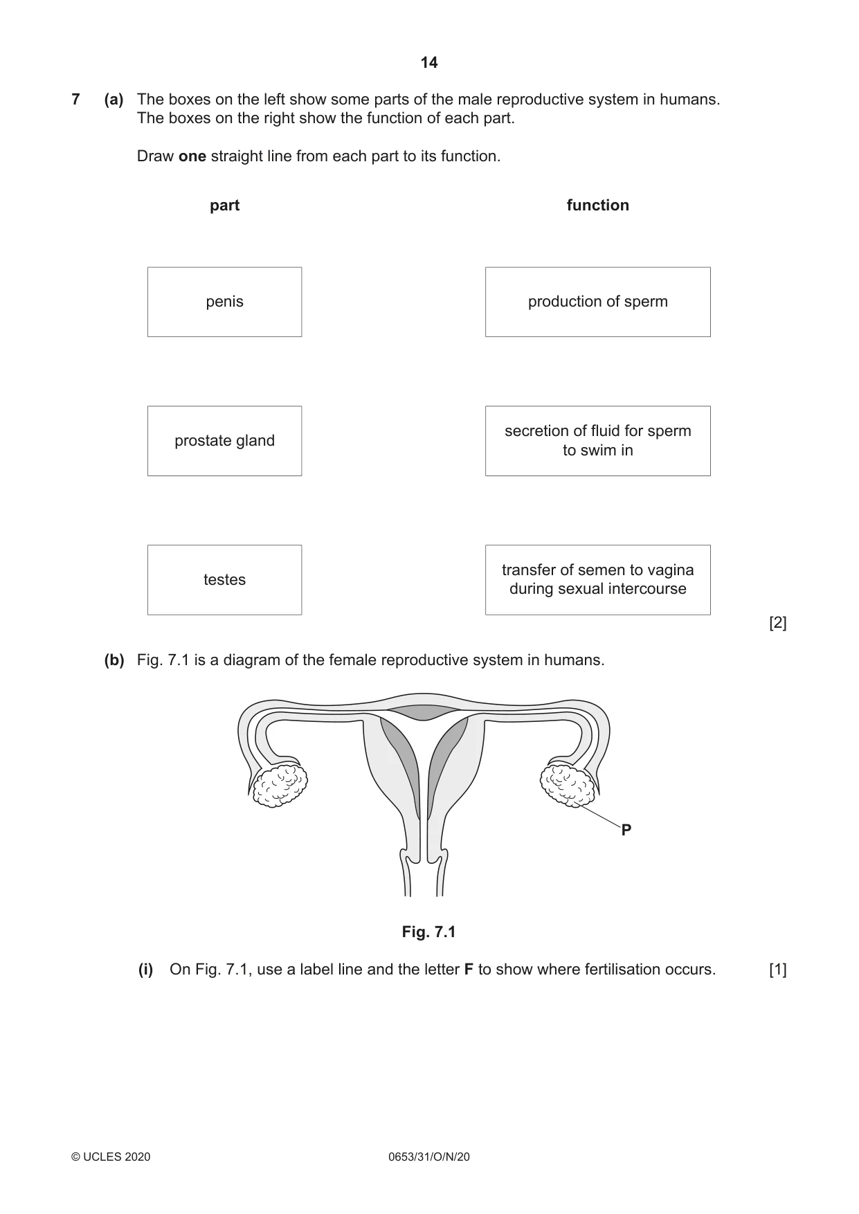 Cambridge IGCSE Science - Combined 0653 2020 Oct/Nov Paper 3 · Variant 1 question paper, page 14 of 20