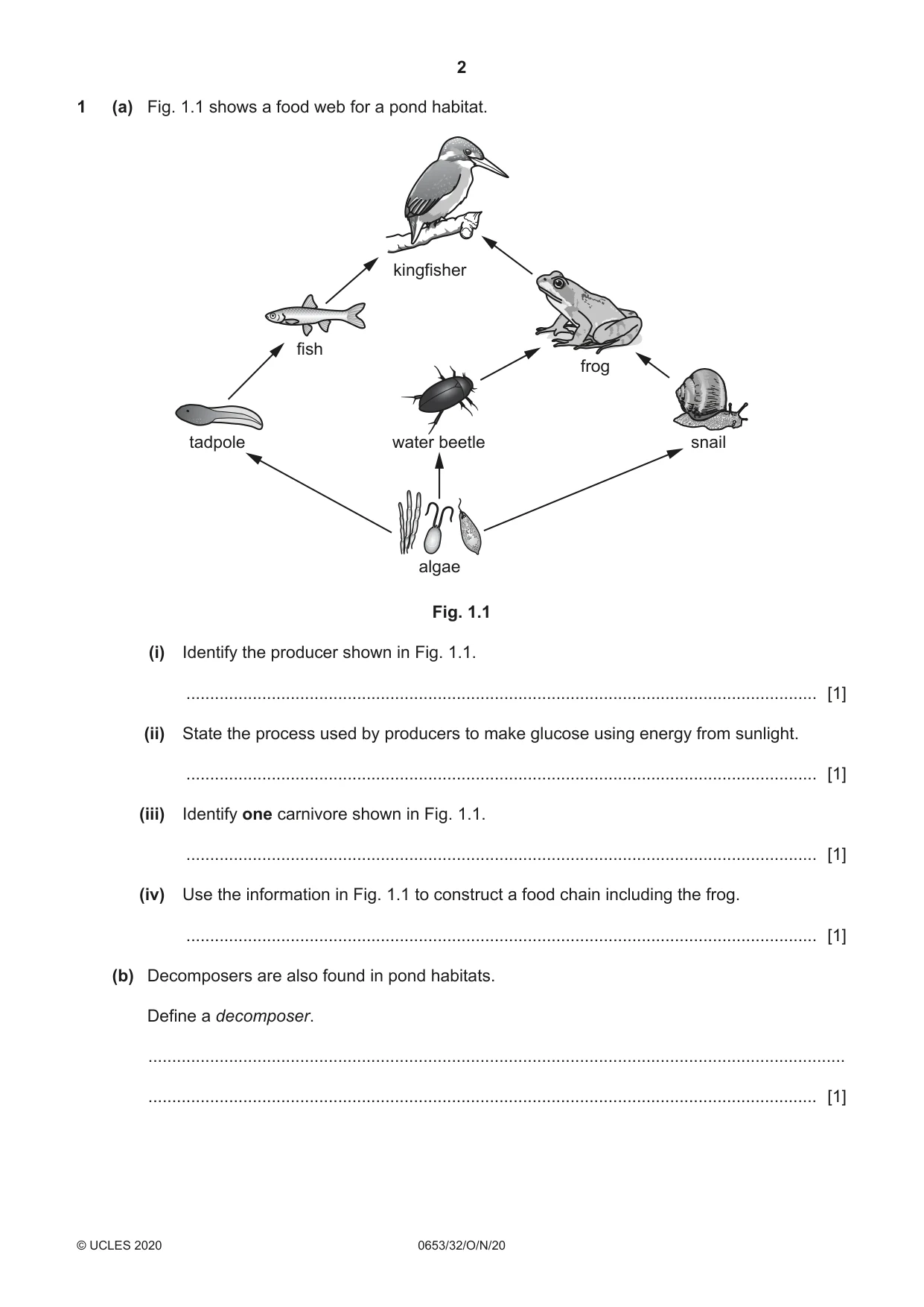 Cambridge IGCSE Science - Combined 0653 2020 Oct/Nov Paper 3 · Variant 2 question paper, page 2 of 20