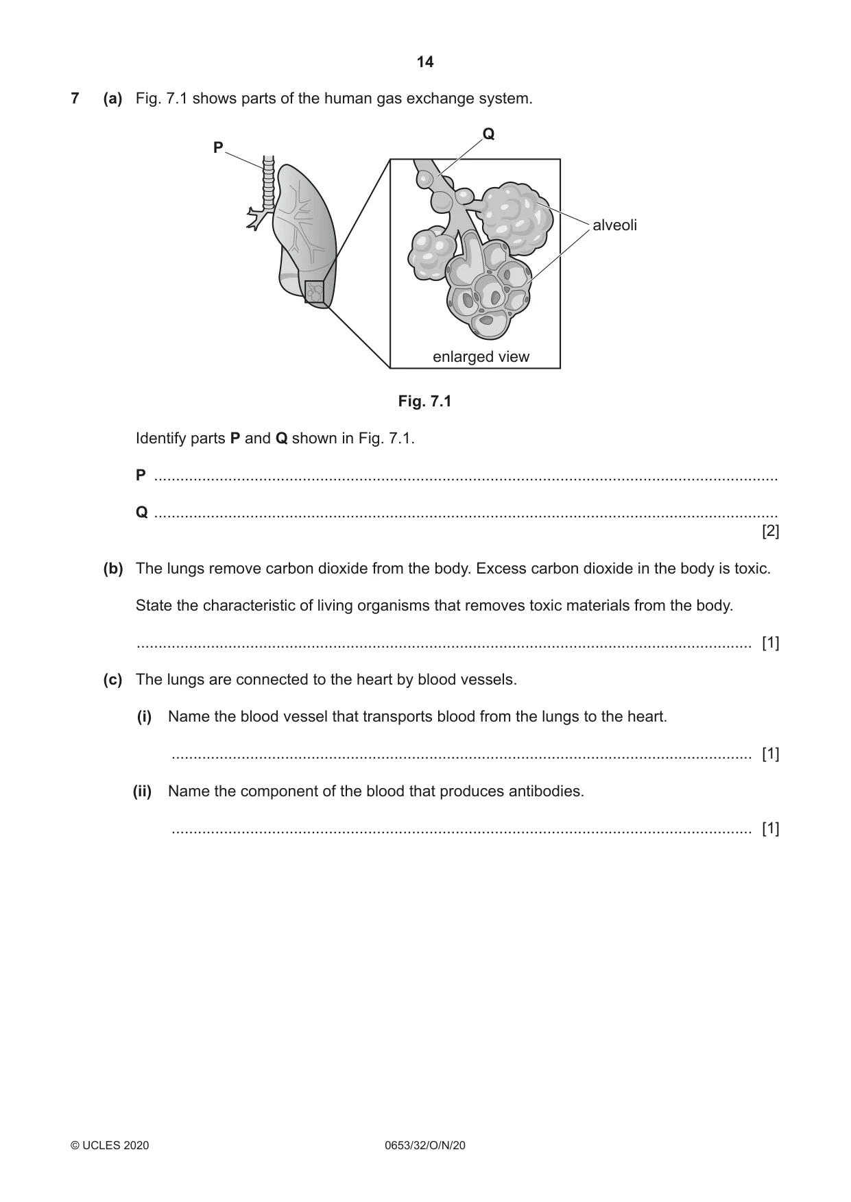 Cambridge IGCSE Science - Combined 0653 2020 Oct/Nov Paper 3 · Variant 2 question paper, page 14 of 20