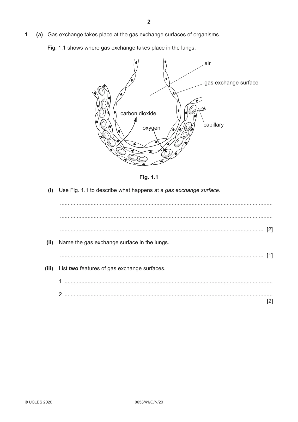 Cambridge IGCSE Science - Combined 0653 2020 Oct/Nov Paper 4 · Variant 1 question paper, page 2 of 20
