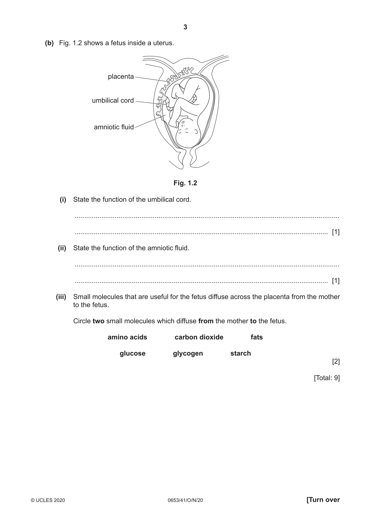 Cambridge IGCSE Science - Combined 0653 2020 Oct/Nov Paper 4 · Variant 1 question paper, page 3 of 20