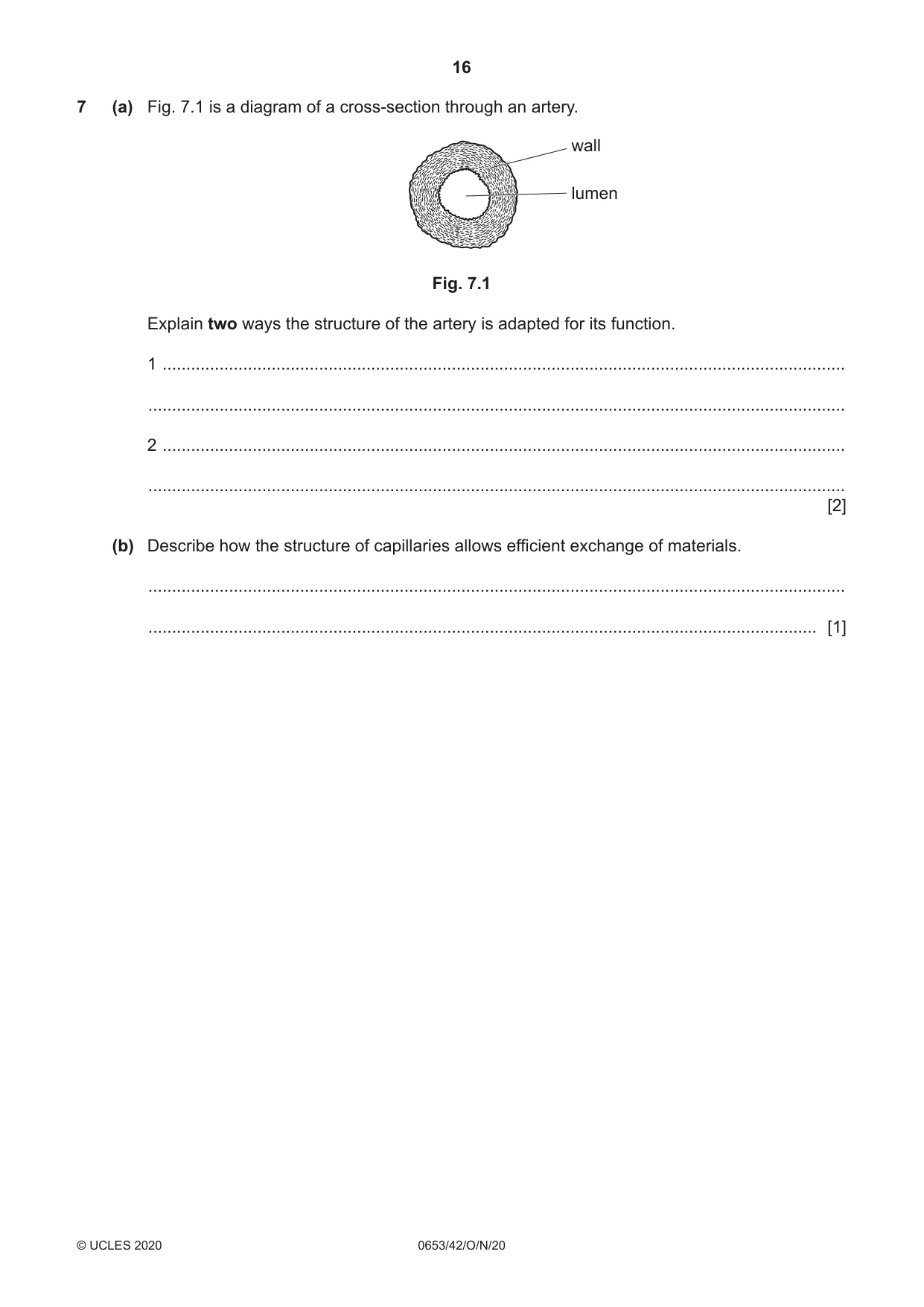 Cambridge IGCSE Science - Combined 0653 2020 Oct/Nov Paper 4 · Variant 2 question paper, page 16 of 24