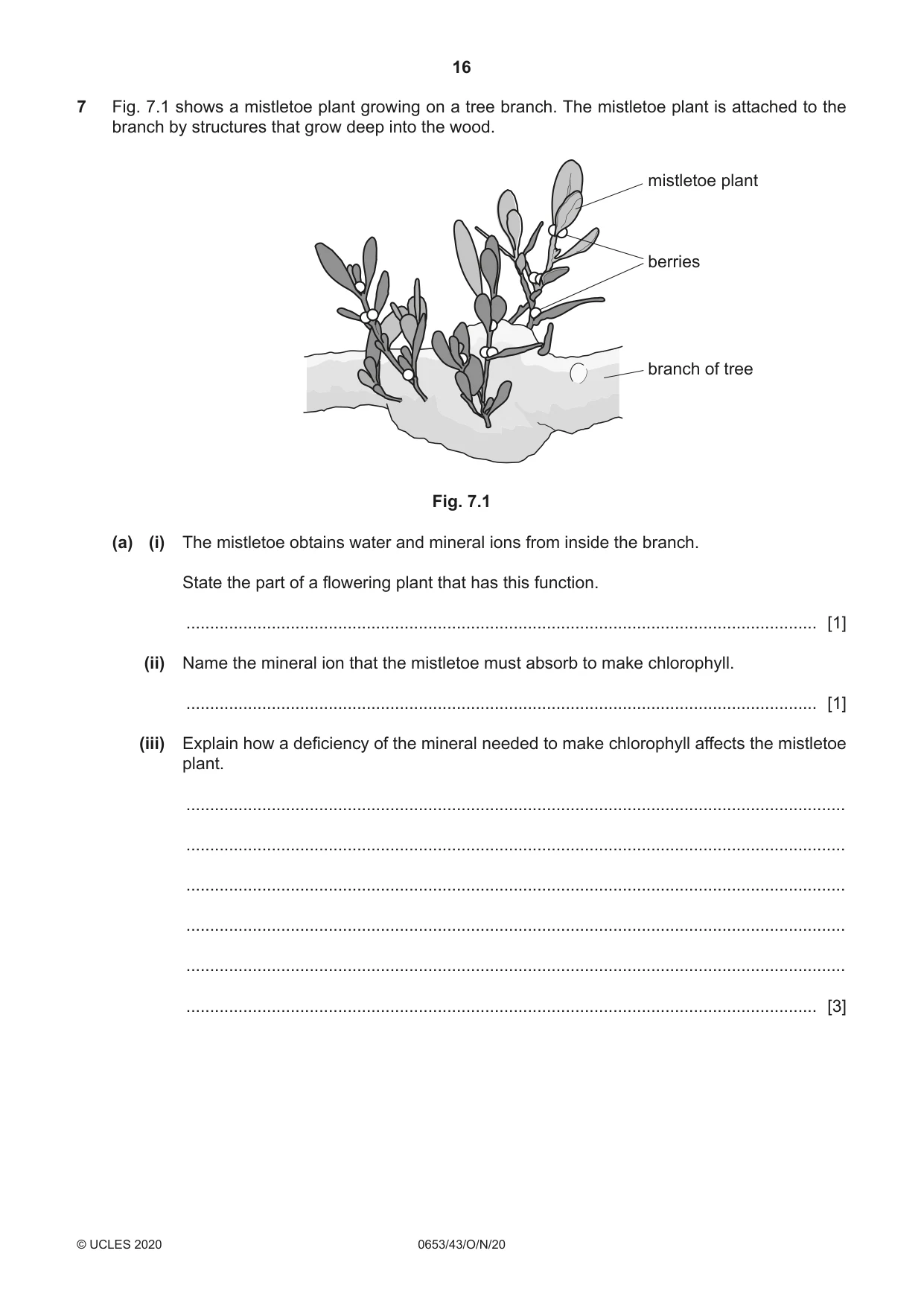 Cambridge IGCSE Science - Combined 0653 2020 Oct/Nov Paper 4 · Variant 3 question paper, page 16 of 24