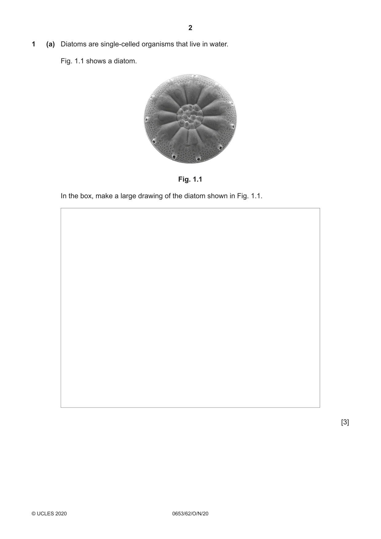 Cambridge IGCSE Science - Combined 0653 2020 Oct/Nov Paper 6 · Variant 2 question paper, page 2 of 16