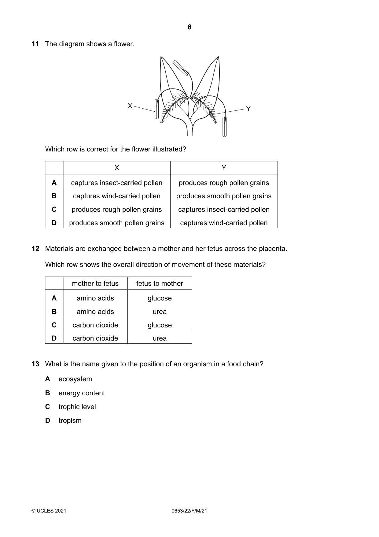 Cambridge IGCSE Science - Combined 0653 2021 Feb/March Paper 2 · Variant 2 question paper, page 6 of 20